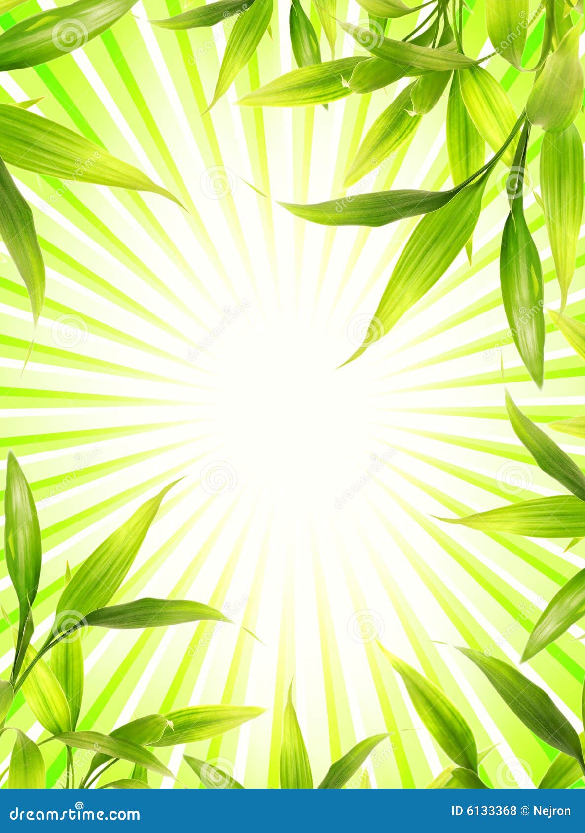 bamboo plant frame royalty free stock photos image 6133368 bamboo plant frame royalty free stock photos image 6133368