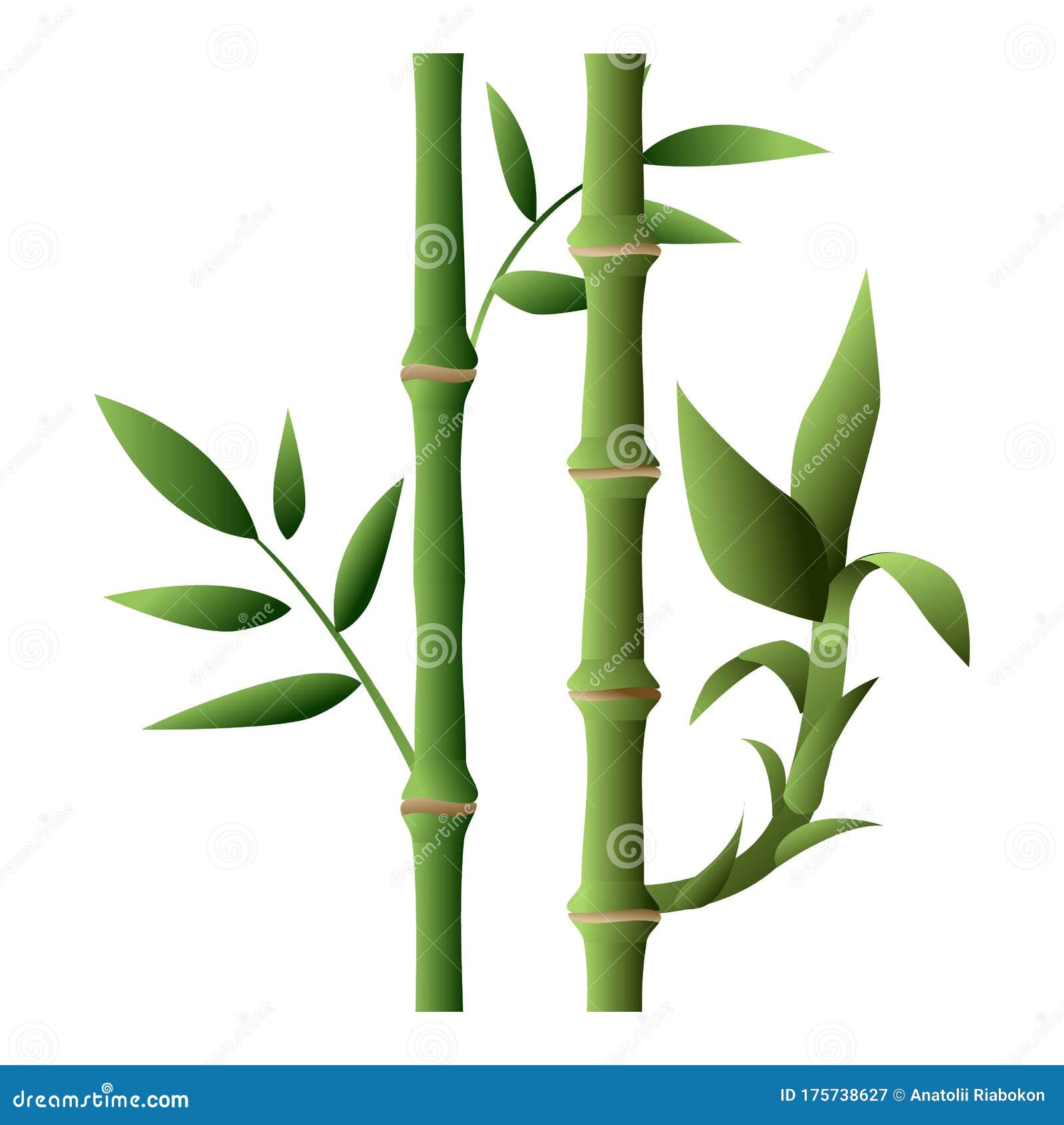 Bamboo Plant Icon, Cartoon Style Stock Vector Illustration of