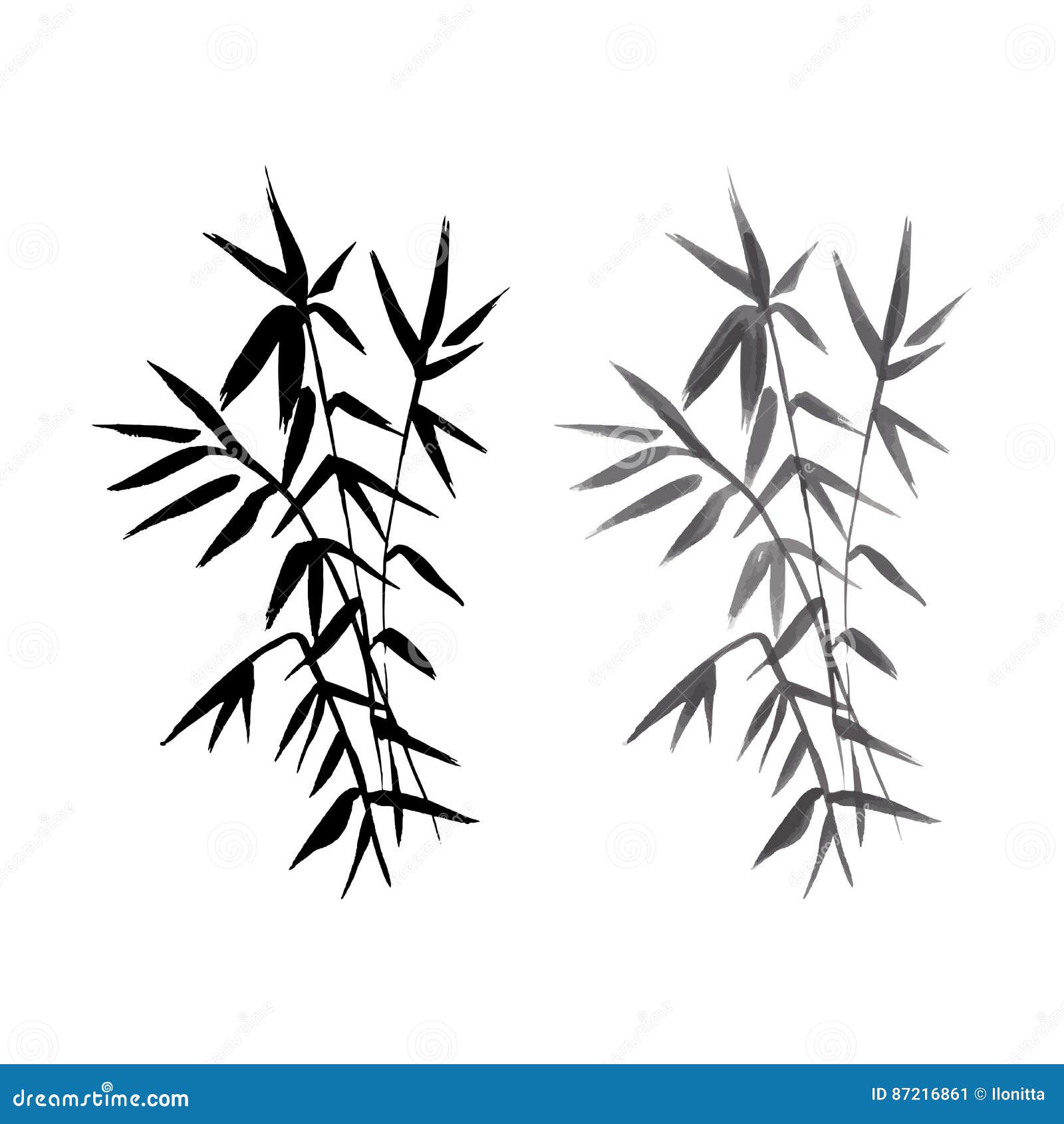 Bamboo Plant Isolated Vector Illustration Stock Vector Illustration of branch, culture 87216861