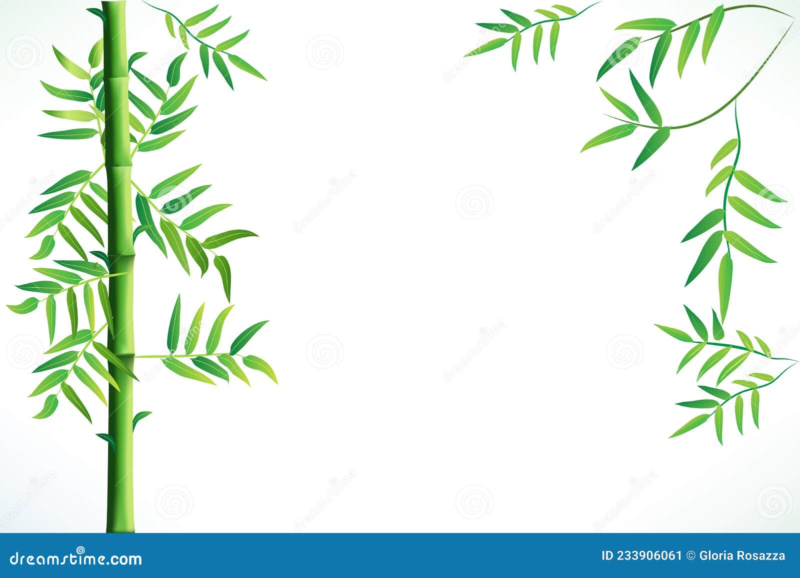bamboo tree lucky plant frame greeting card