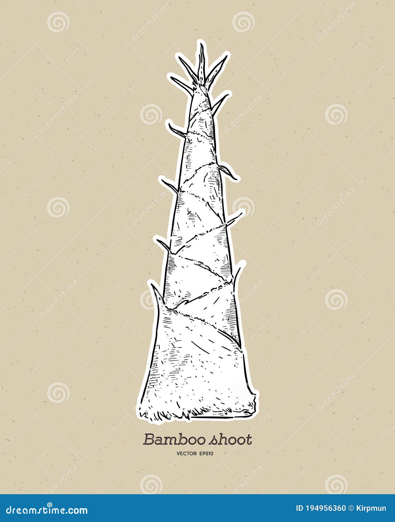 Bamboo Shoot, Hand Draw Sketch Vector Stock Vector Illustration of delicious, tropical 194956360
