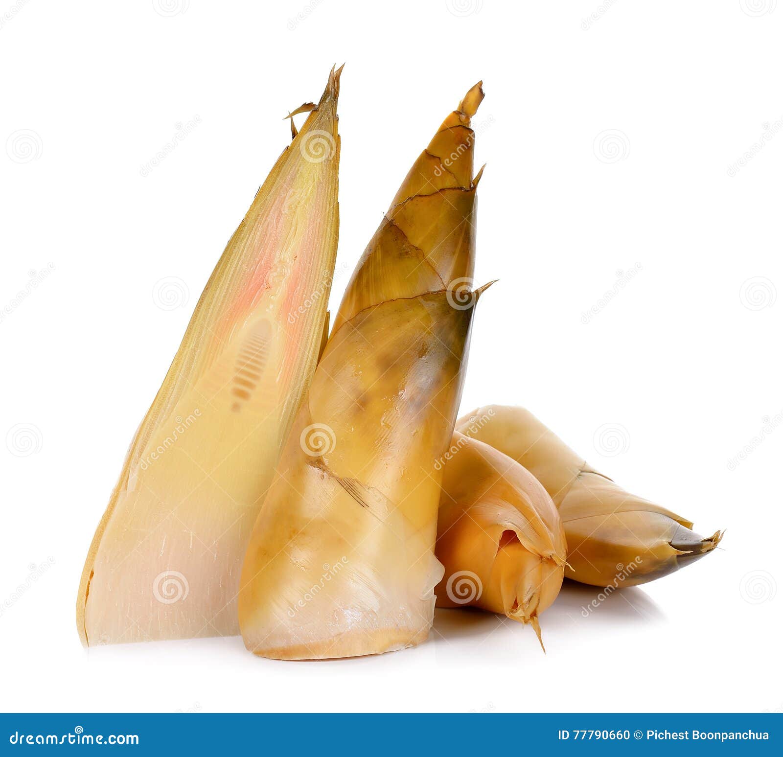 Bamboo Shoot Isolated on the White Background Stock Photo Image of