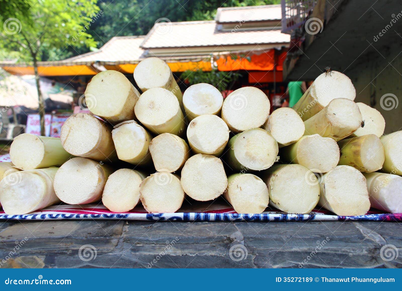 Bamboo shoot stock image. Image of thailand, antioxidant 35272189