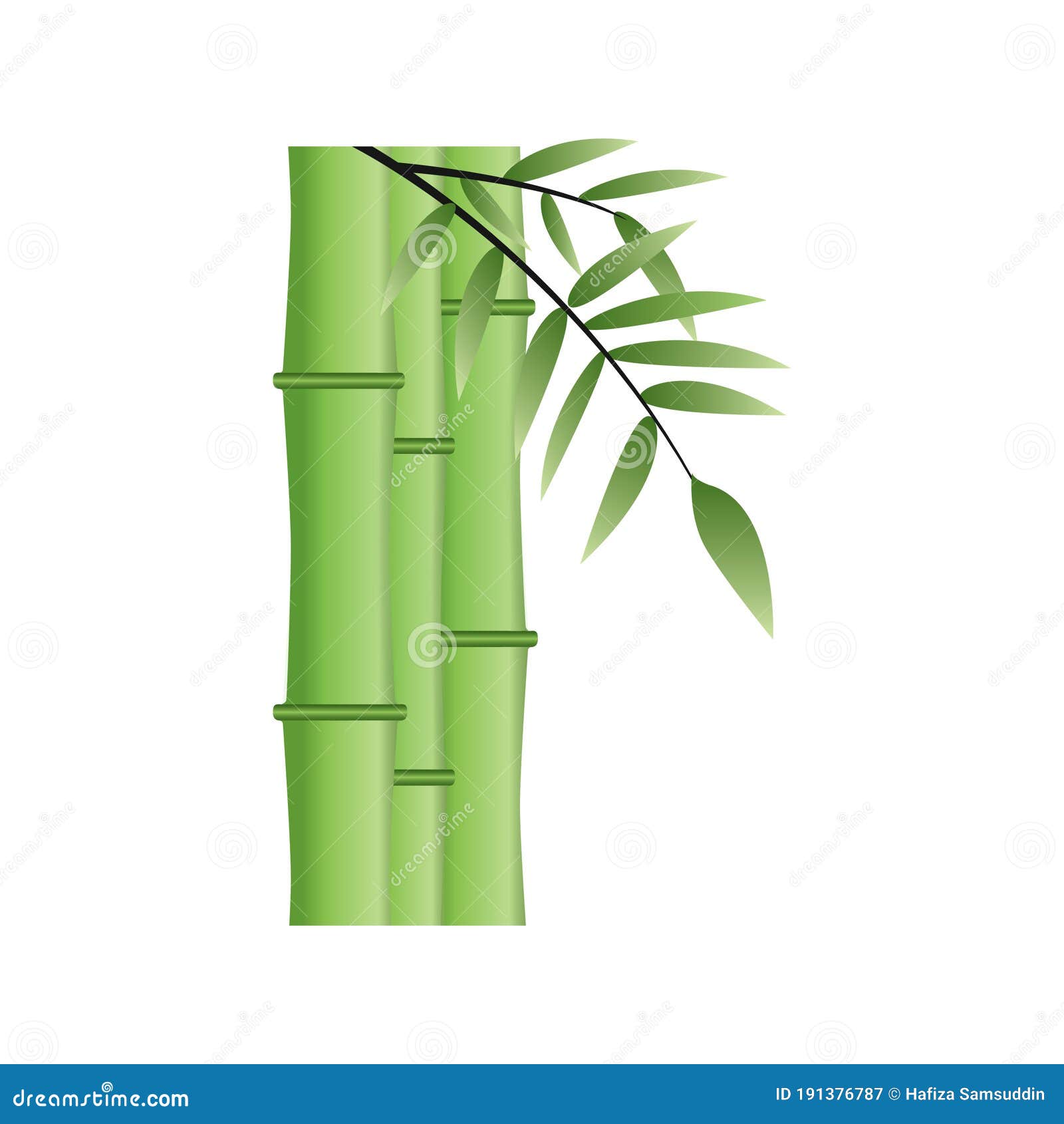 Bamboo Shoots. Vector Illustration Decorative Design Stock Vector