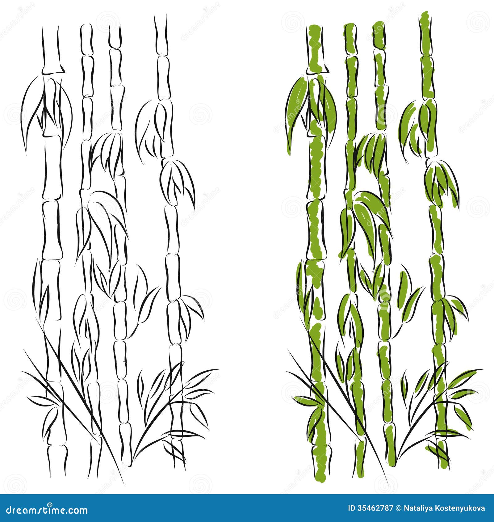 Bamboo stock vector. Illustration of green, branch, black - 35462787