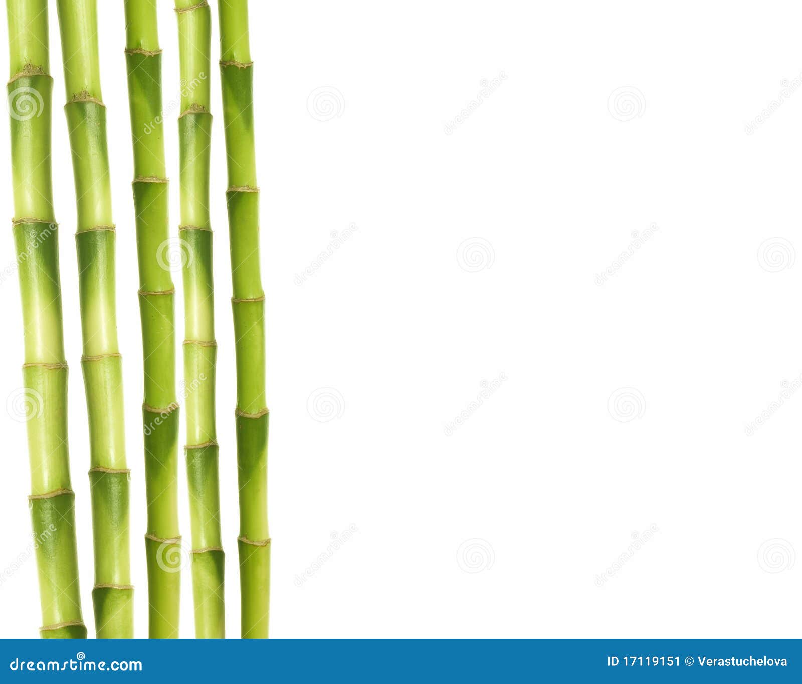 Bamboo stalks stock image. Image of copy, garden, detail - 17119151