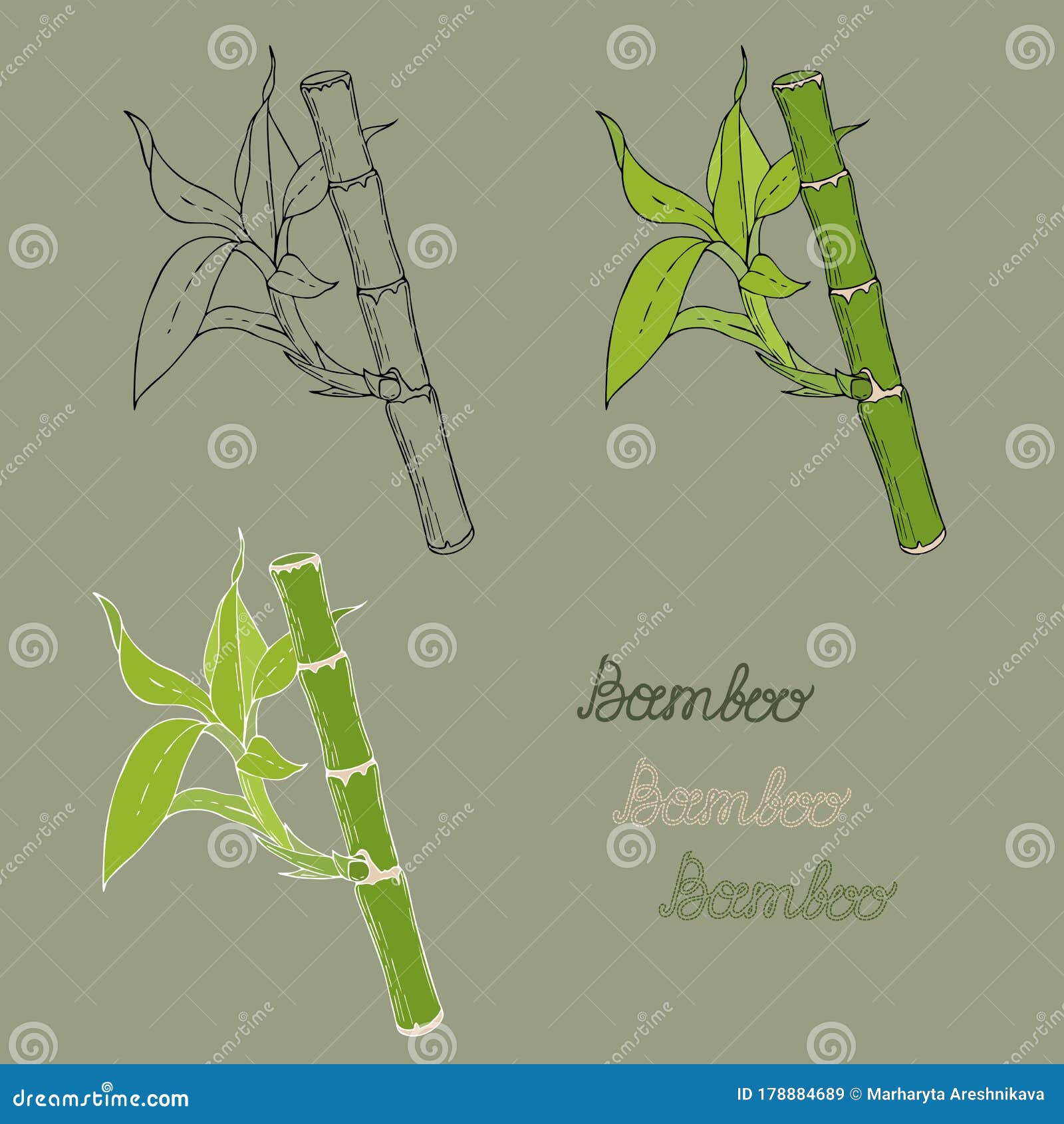 Brown bamboo stick with green leaves in sketch style isolated on white  background., Stock vector