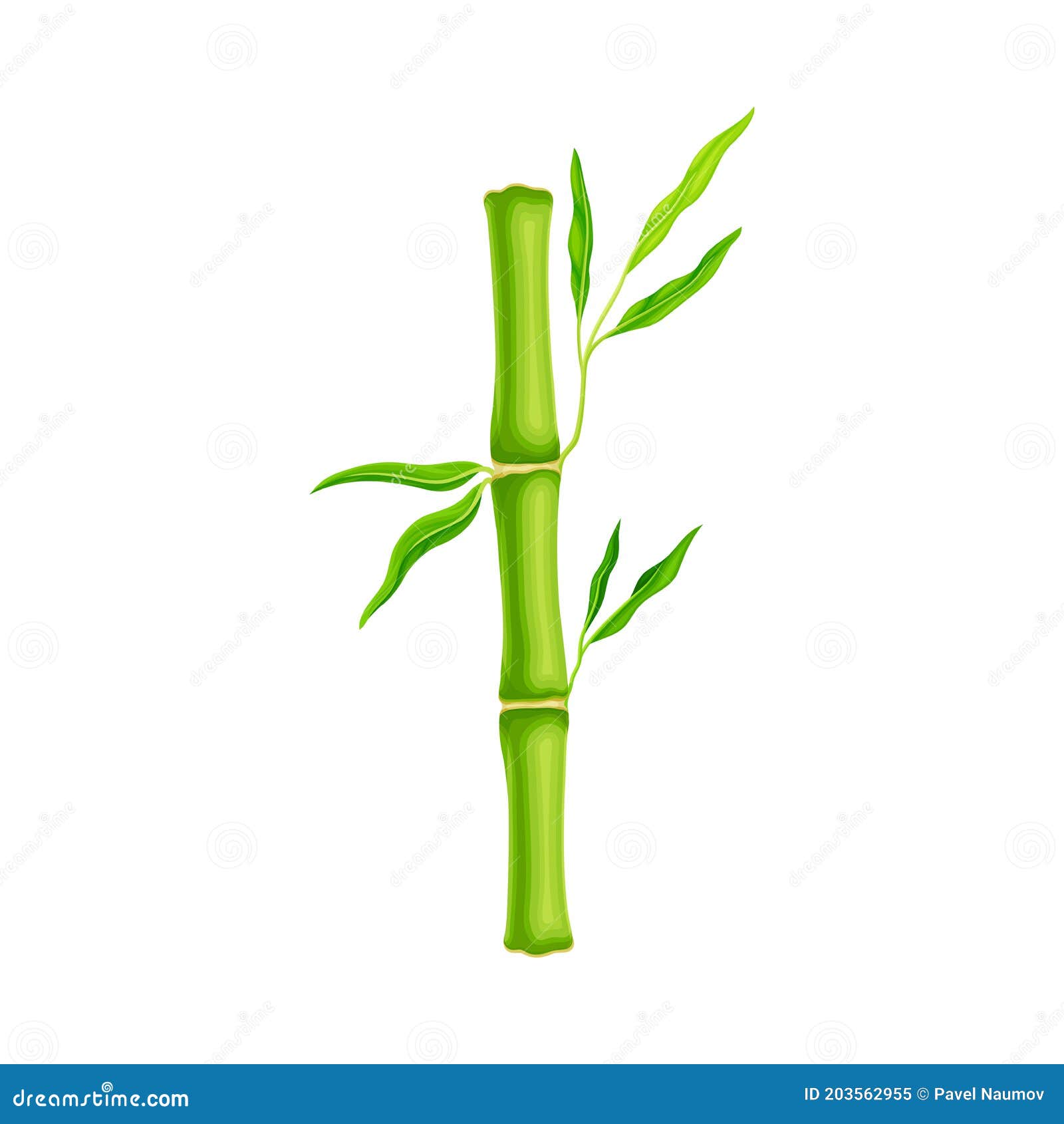 Realistic Bamboo Stick Brown And Green Tree Branch And Stems With
