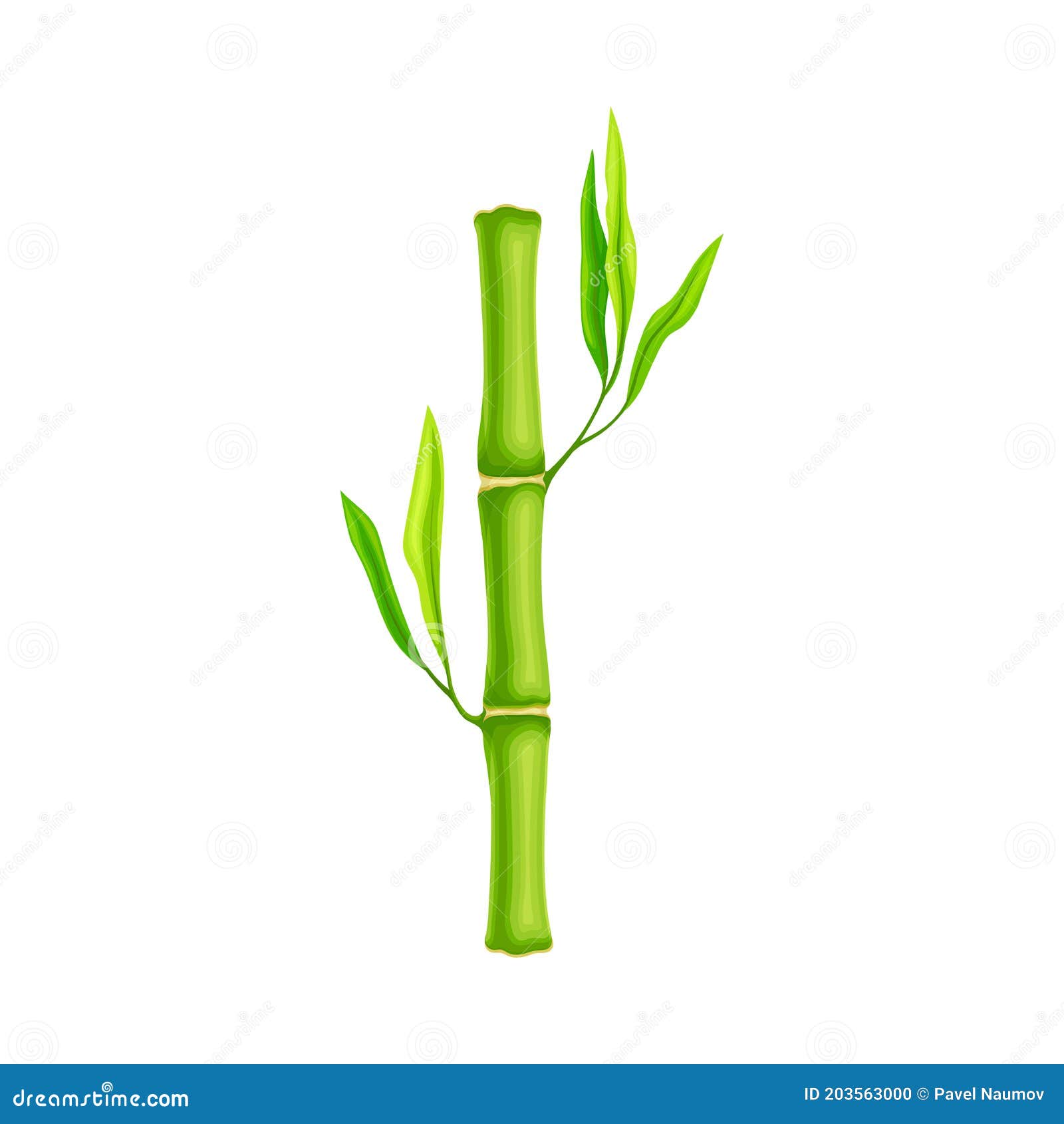 Realistic Bamboo Stick Brown And Green Tree Branch And Stems With