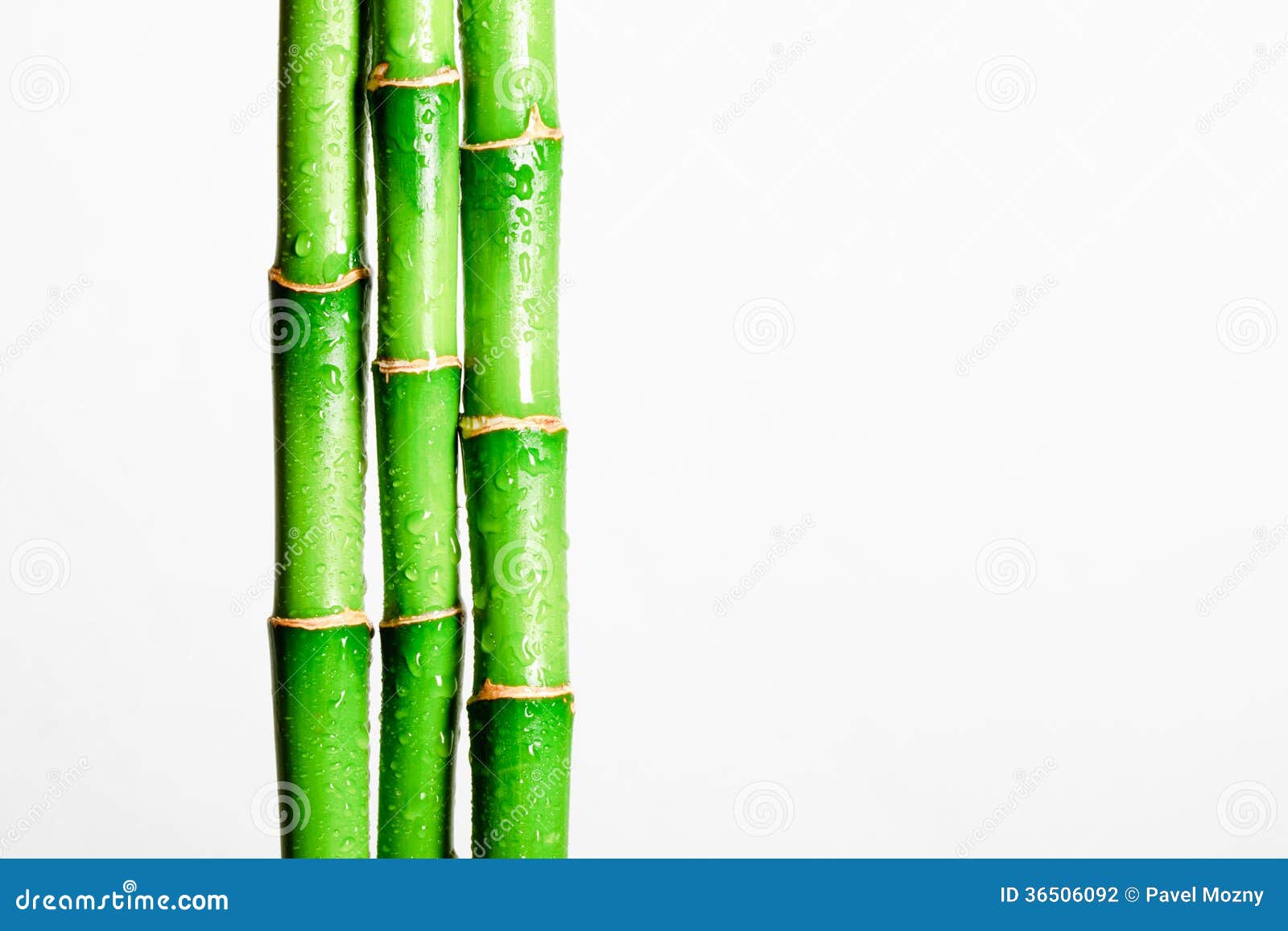 Bamboo stick stock photo. Image of asia, tree, bamboo 36506092