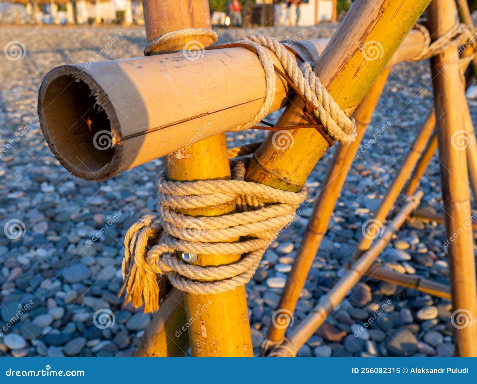 Bamboo Sticks are Tied with a Rope. Close-up of the Fence on the