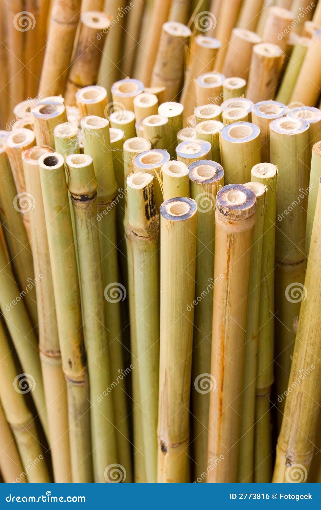 Bamboo Sticks Vertical stock photo. Image of design, cuts