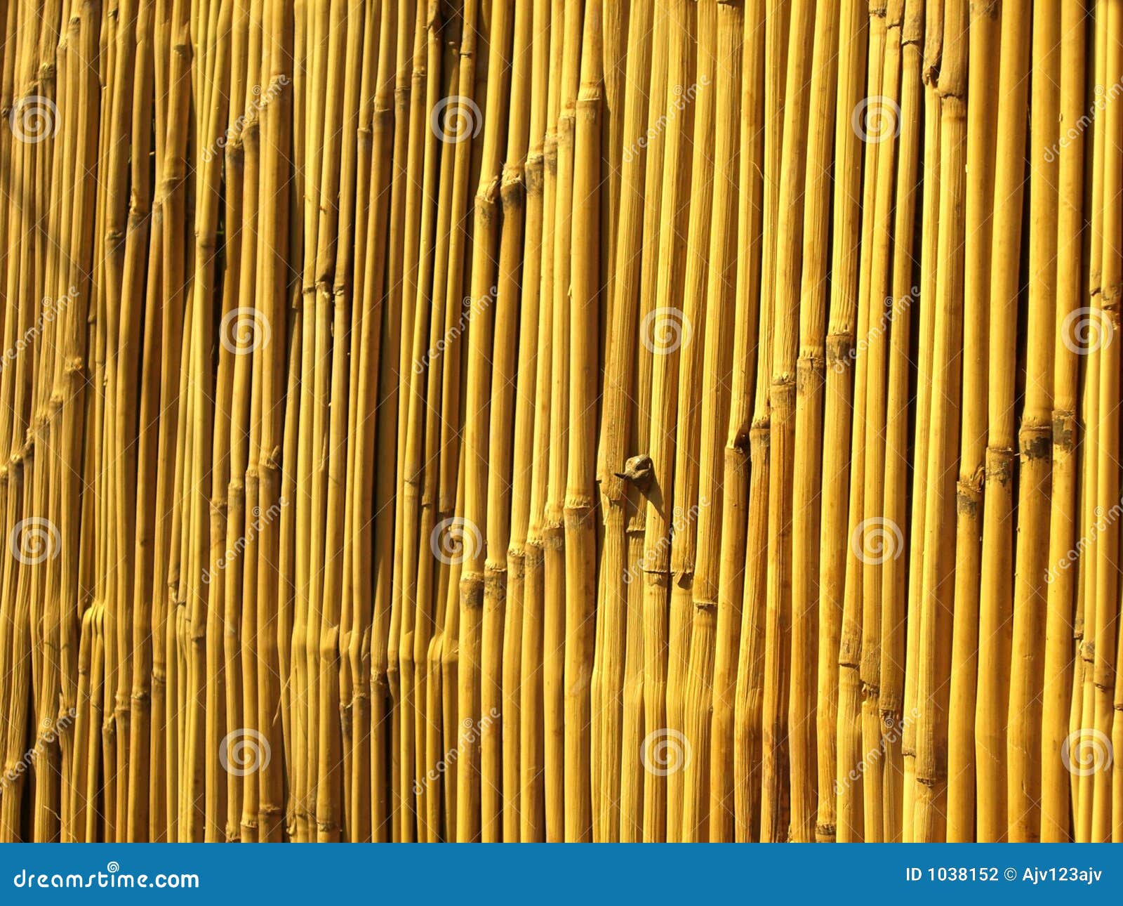 Bamboo Strips Stock Photography Image 1038152