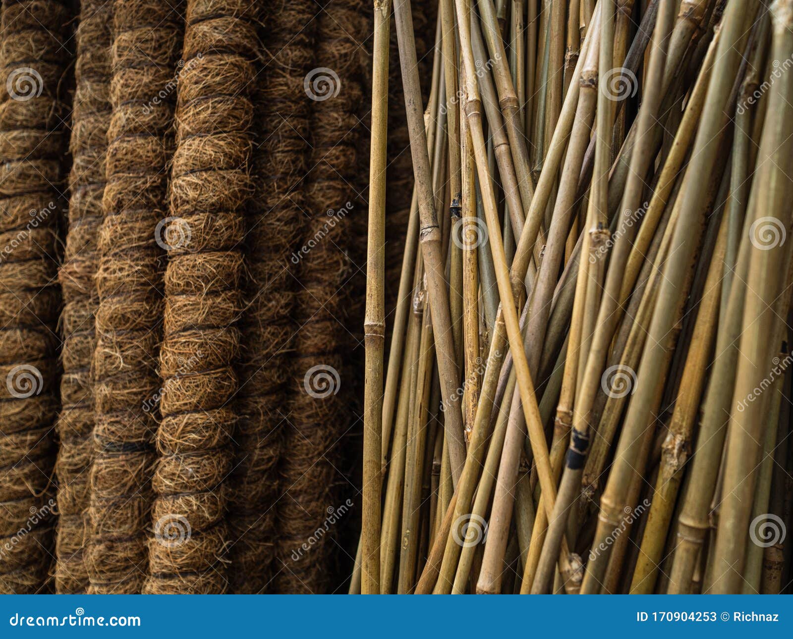 Bamboo Supports for Garden Plants. Thin and Durable Bamboo Rods for
