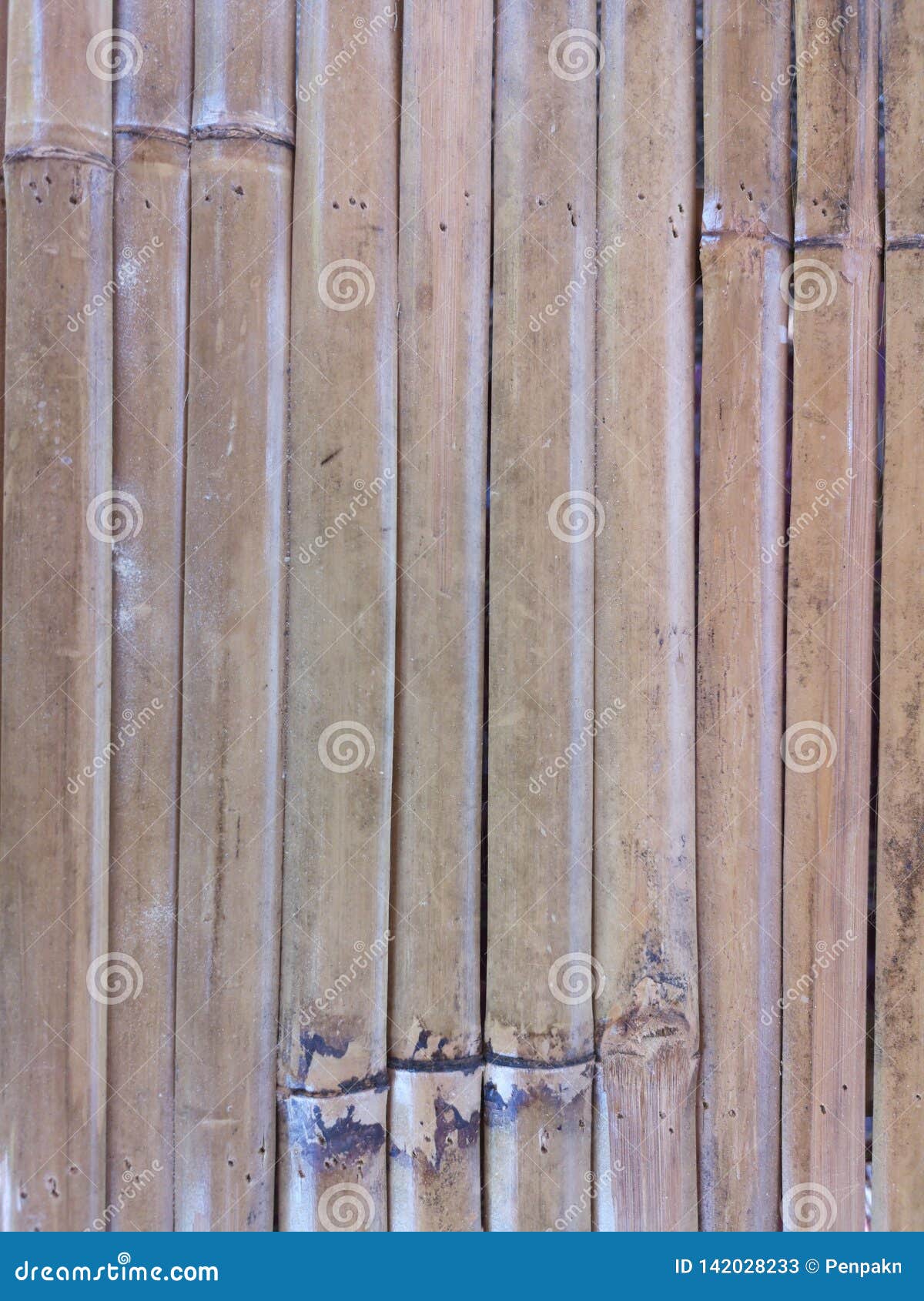 bamboo texture material npattern line wood nature