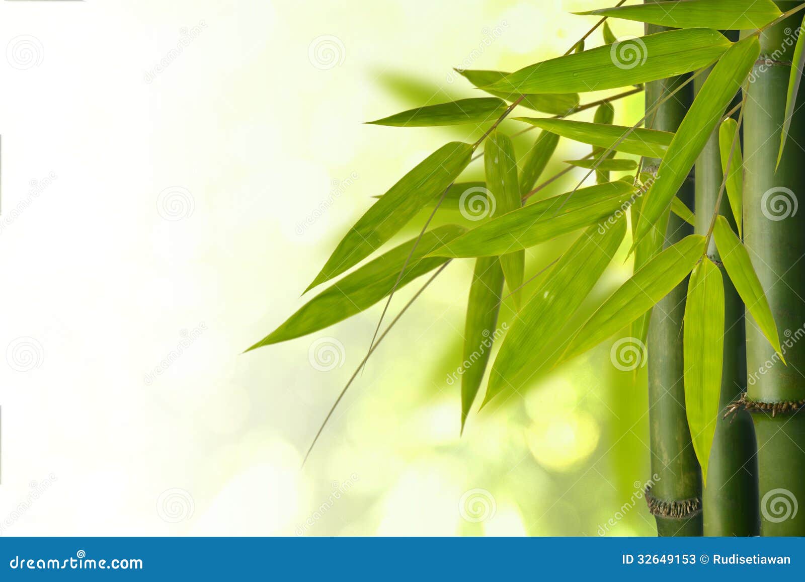 bamboo tree