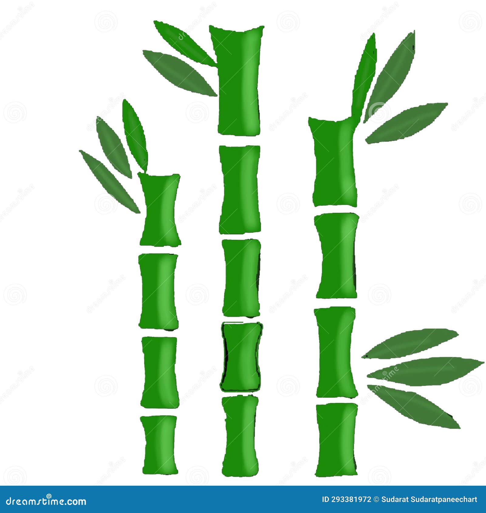 Bamboo Tree, Bamboo Bush, Bamboo Shoots, Leaves Stock Illustration