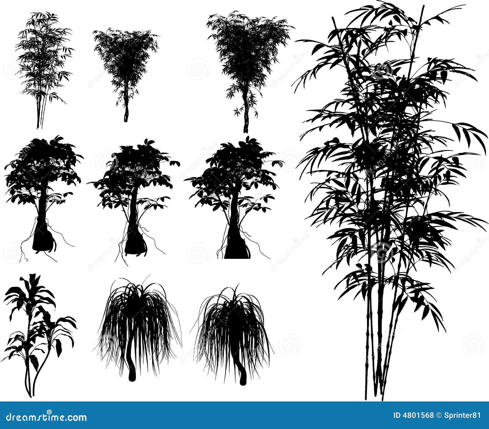 Bamboo and tropical plant stock vector. Illustration of forest 4801568