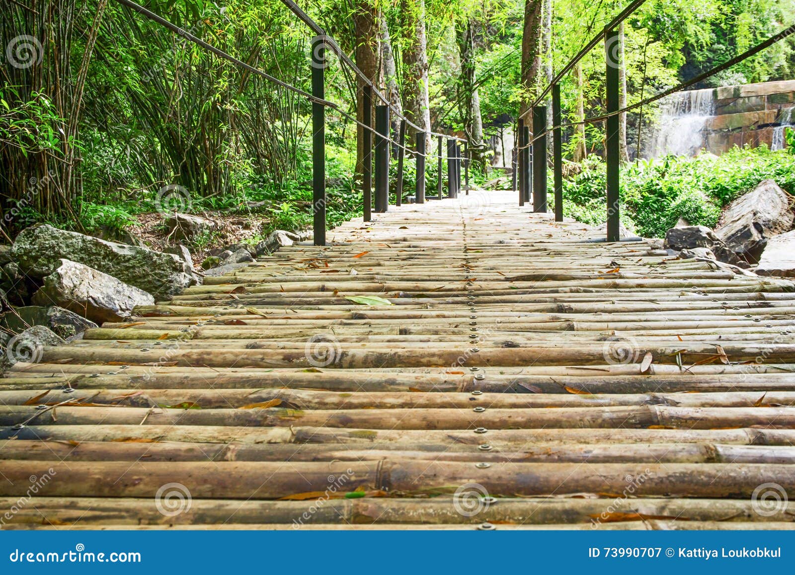 Bamboo Walkway in the Forest Stock Image Image of bridge, walkway