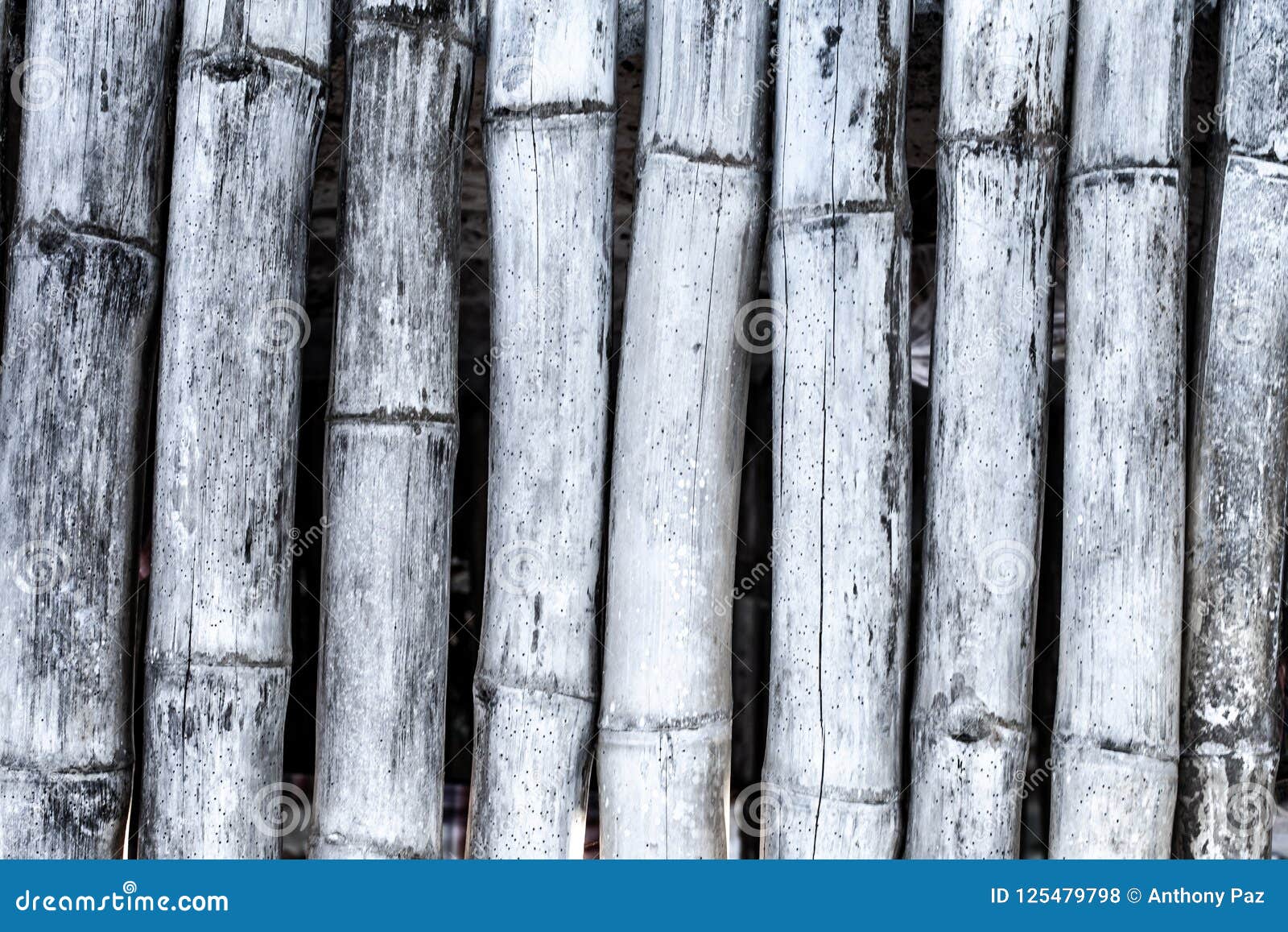 Bamboo Wall/backgroundwooden Texture, Empty Soft Wood Background with ...