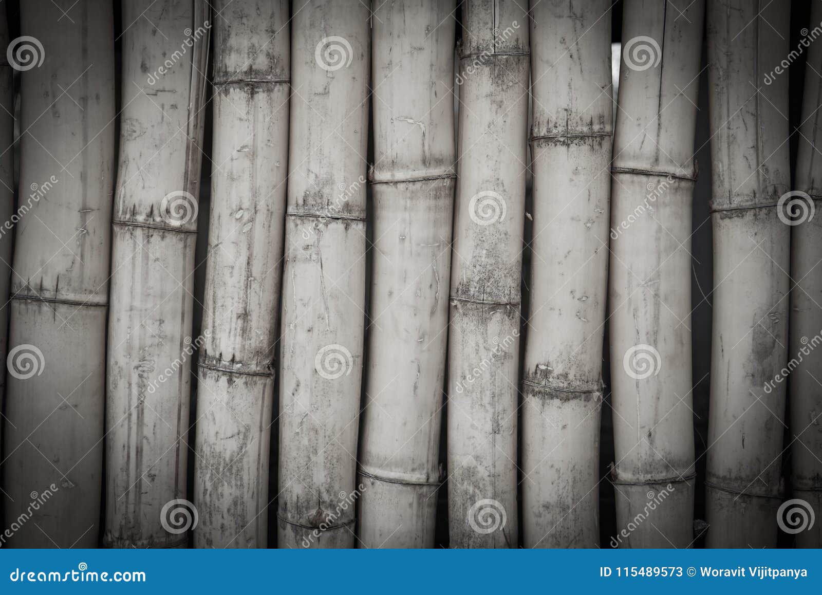 Bamboo wall stock image. Image of barrier, exotic, natural - 115489573