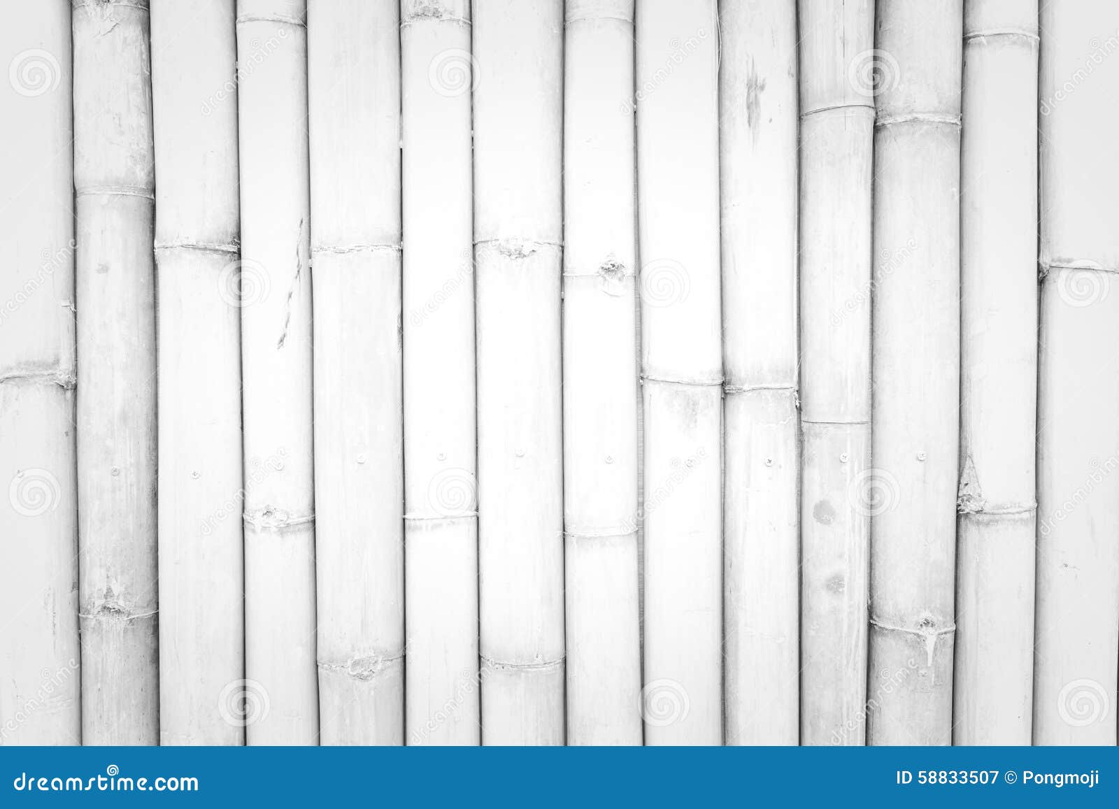 Bamboo Wall Texture Stock Photo - Image: 58833507