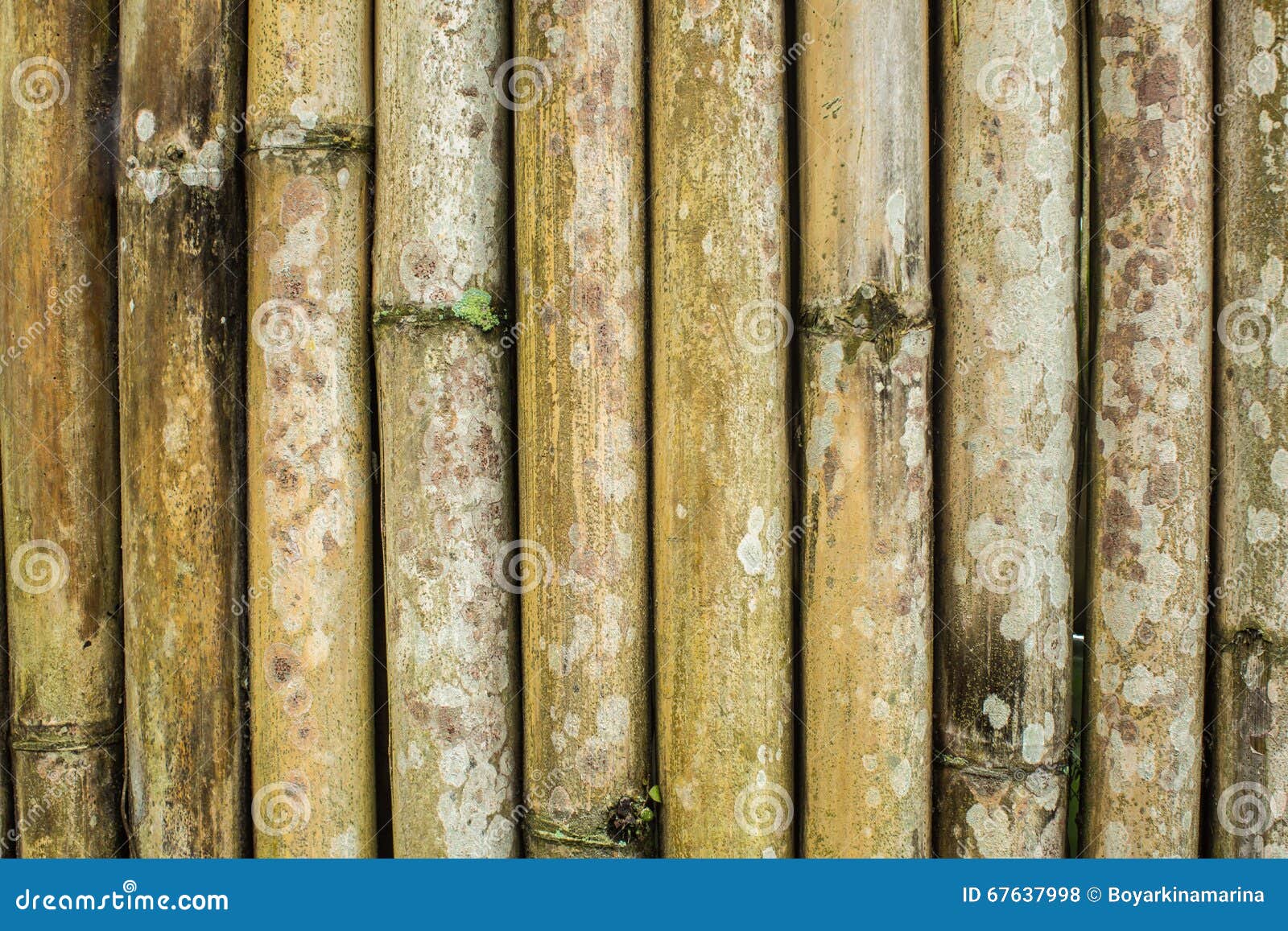 Bamboo Wall. the Texture of Old Bamboo Stock Photo Image of nature, brown 67637998