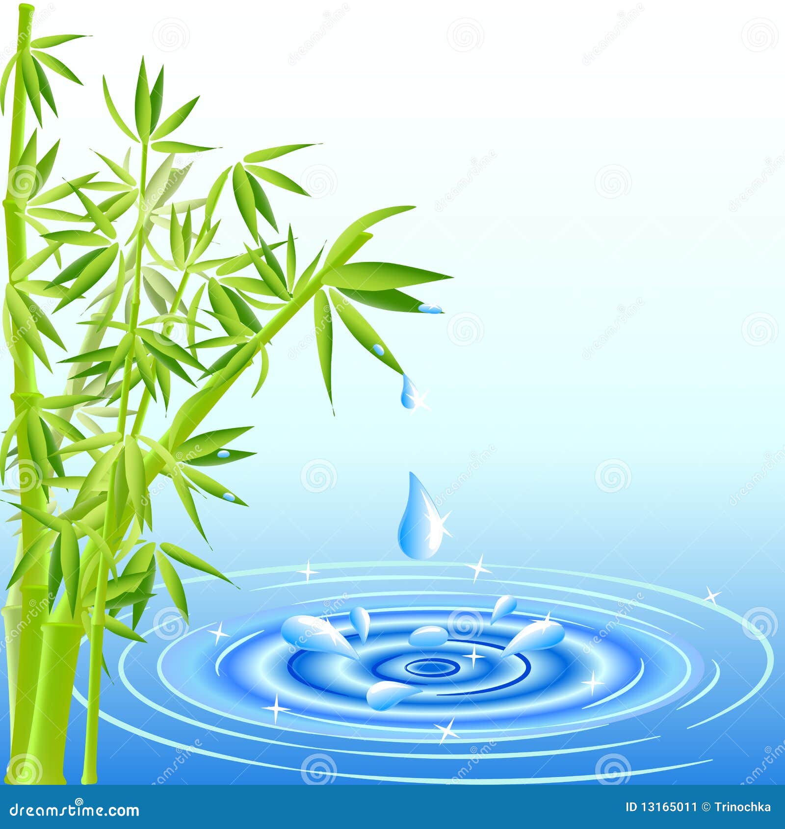 Bamboo with water drops stock vector. Illustration of culture 13165011