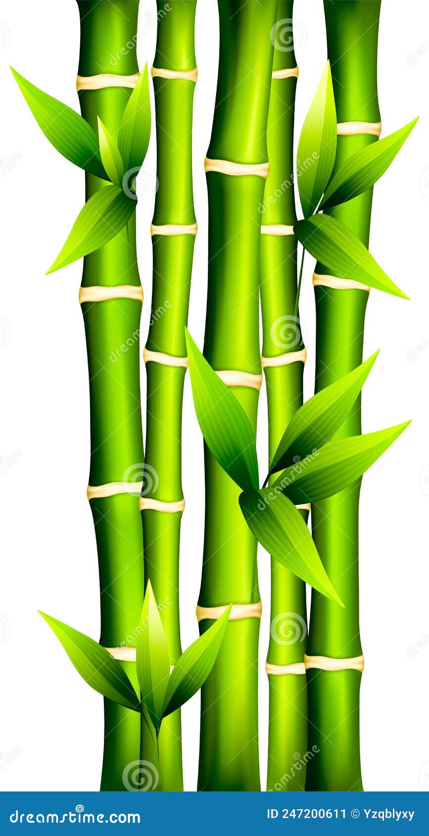 Bamboo watercolor painting stock illustration. Illustration of history