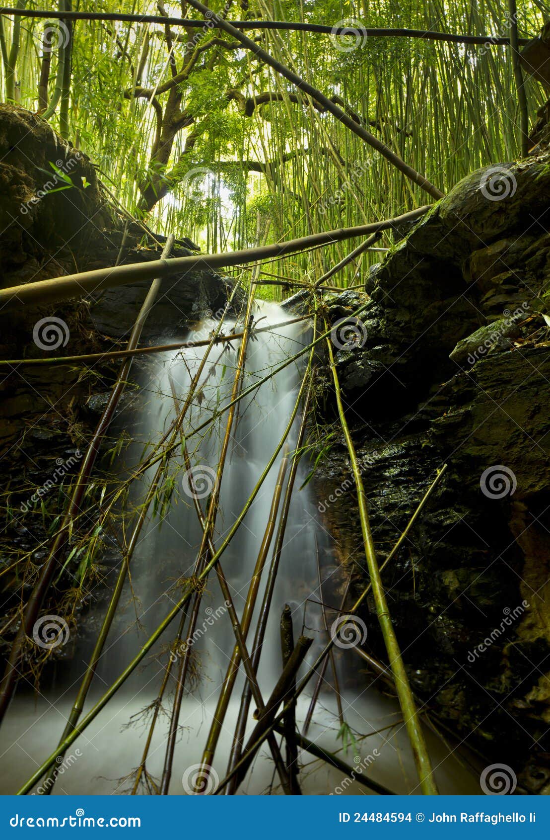Bamboo Waterfall stock photo. Image of panoramic, maui 24484594