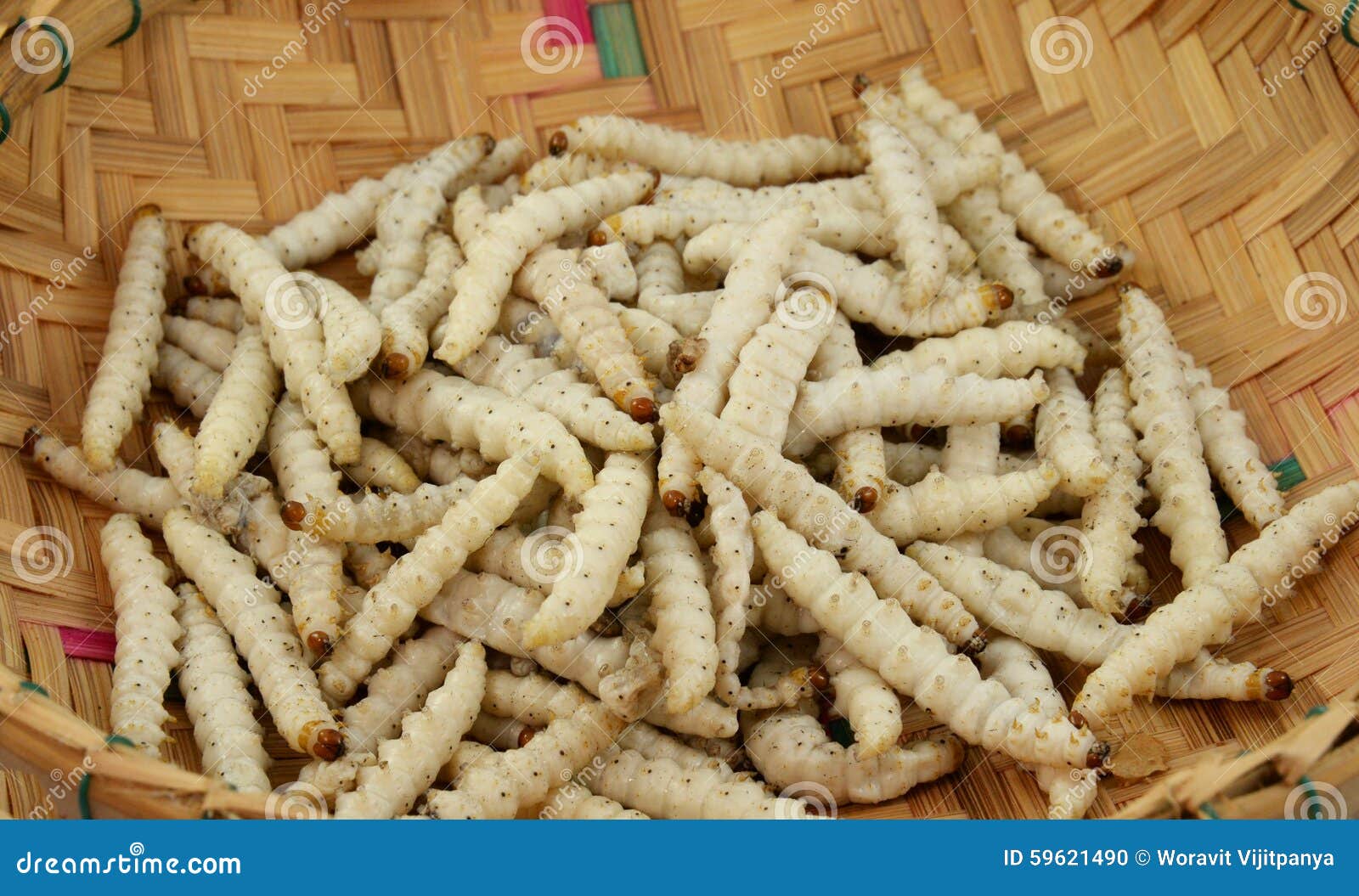 Bamboo Worm stock photo. Image of worm, fried, chrysalis 59621490