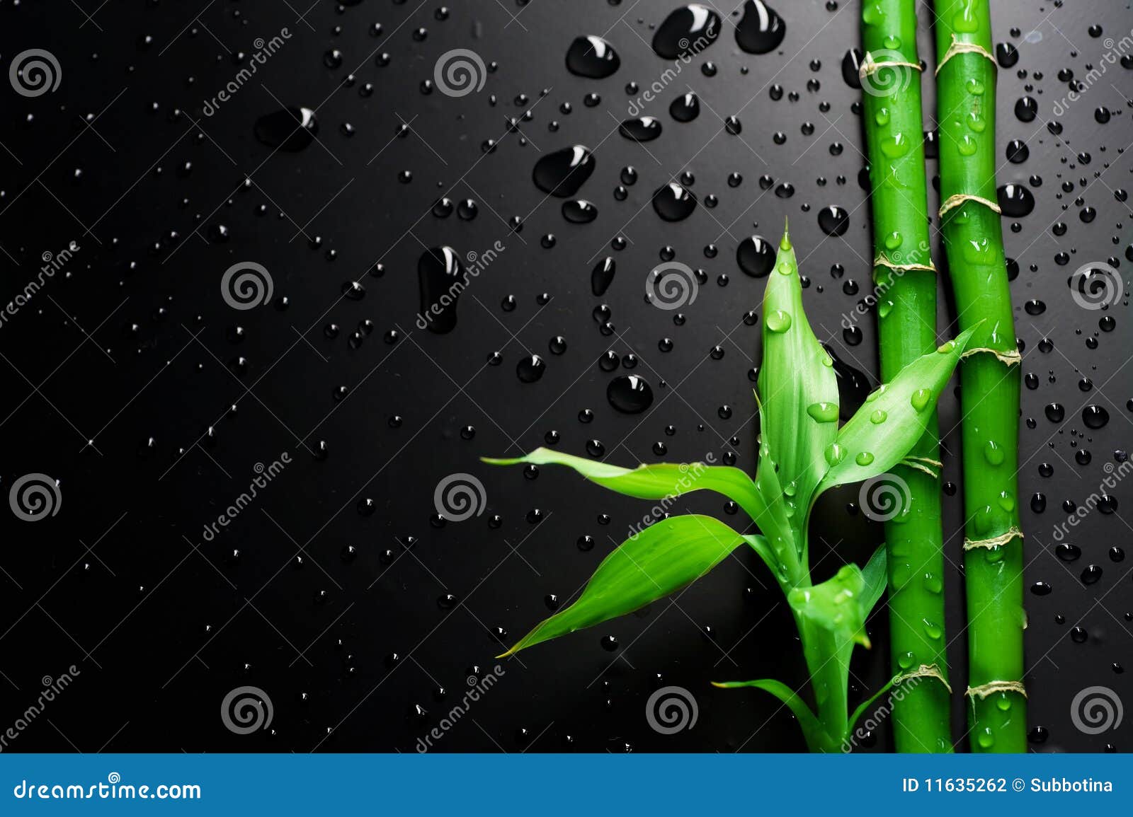 Bambou Photo Stock Image Du Concepts Noir Cadre Baisses
