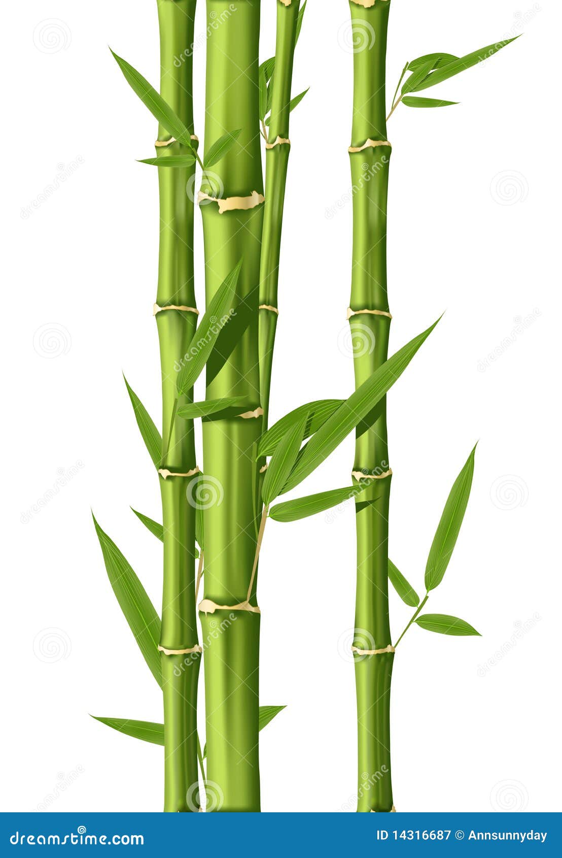  Bambou  image  stock Image  du lame tropical illustration 