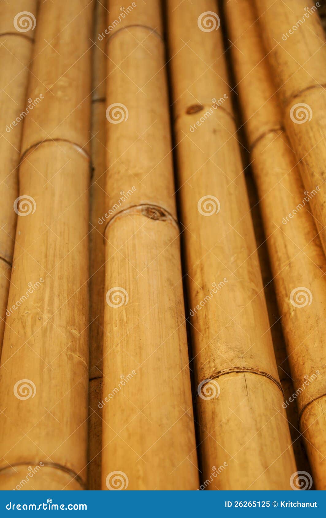 Bambou sec image stock Image du centrale vieux japonais Bambou sec image stock Image du centrale vieux japonais