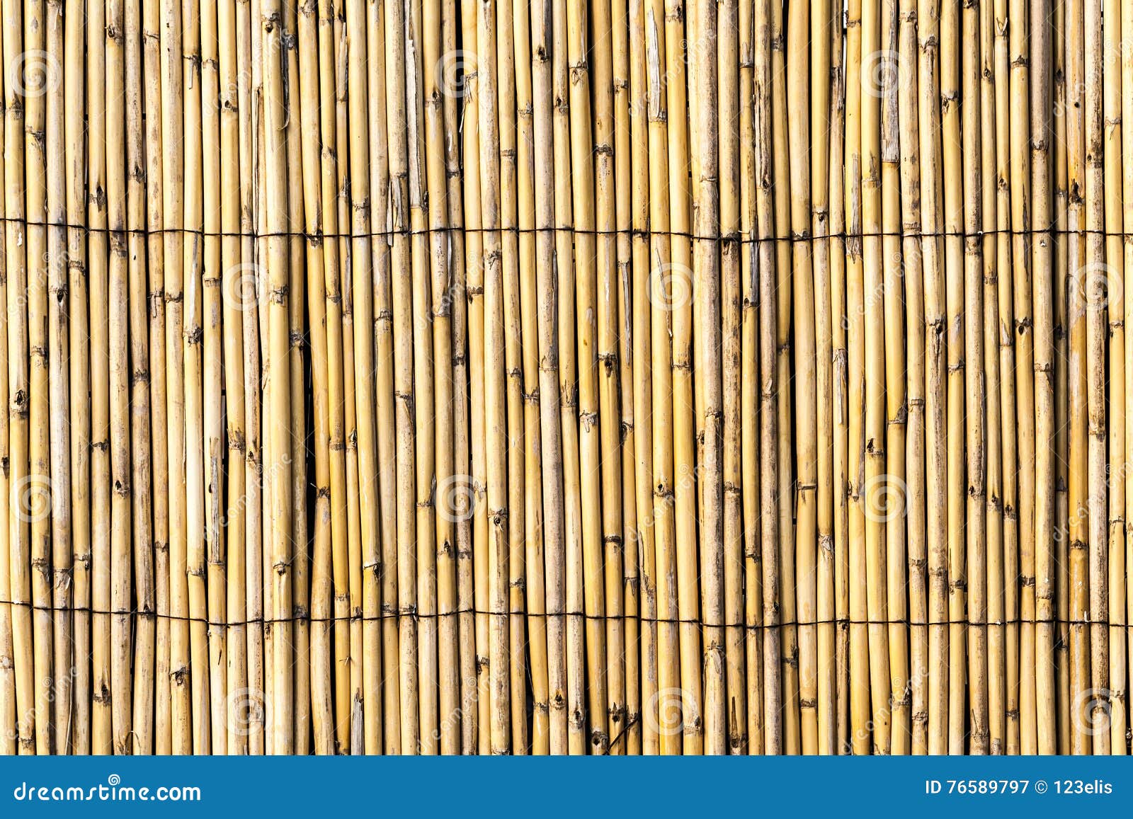 bambu fence texture