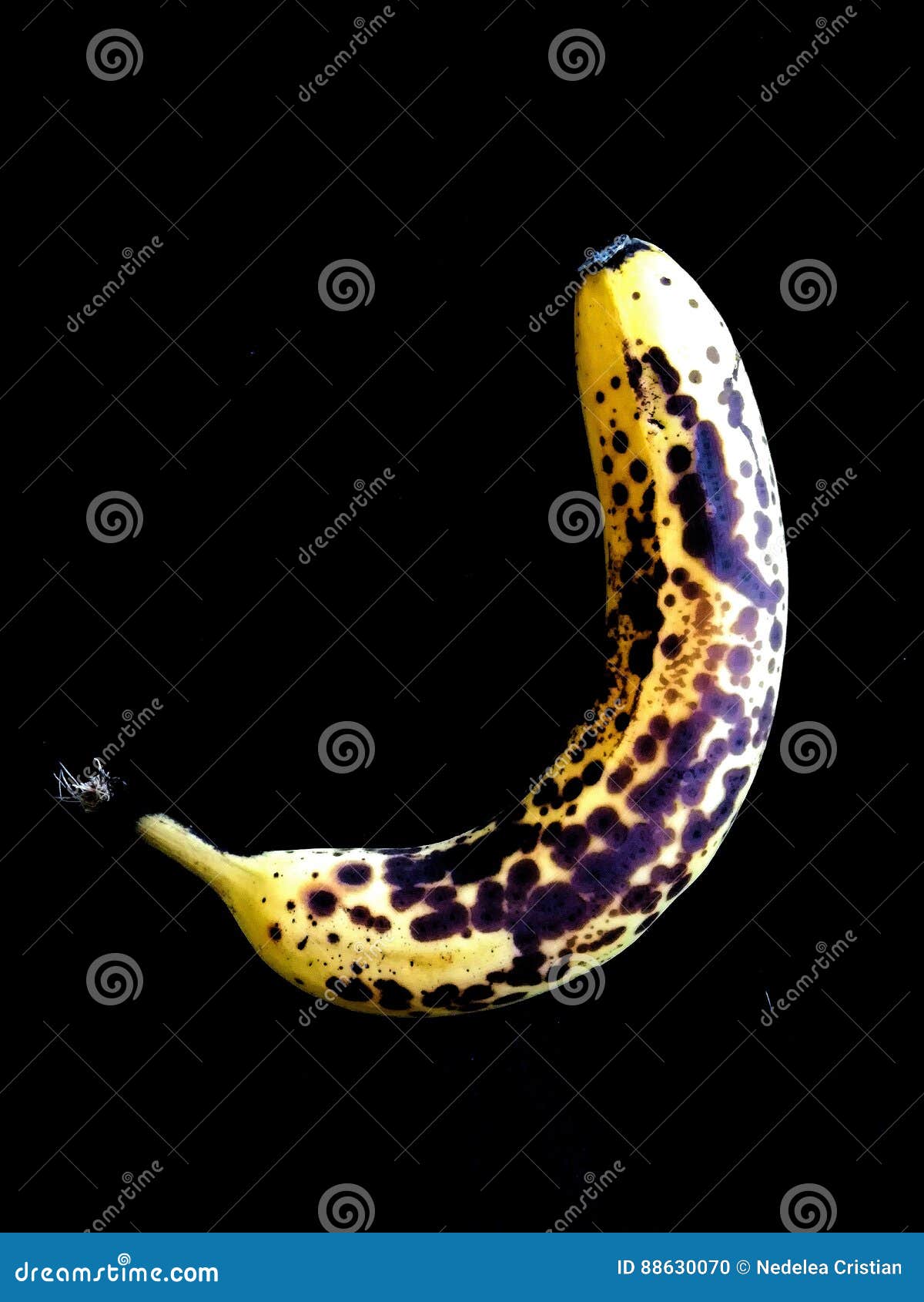 Banana no fundo preto