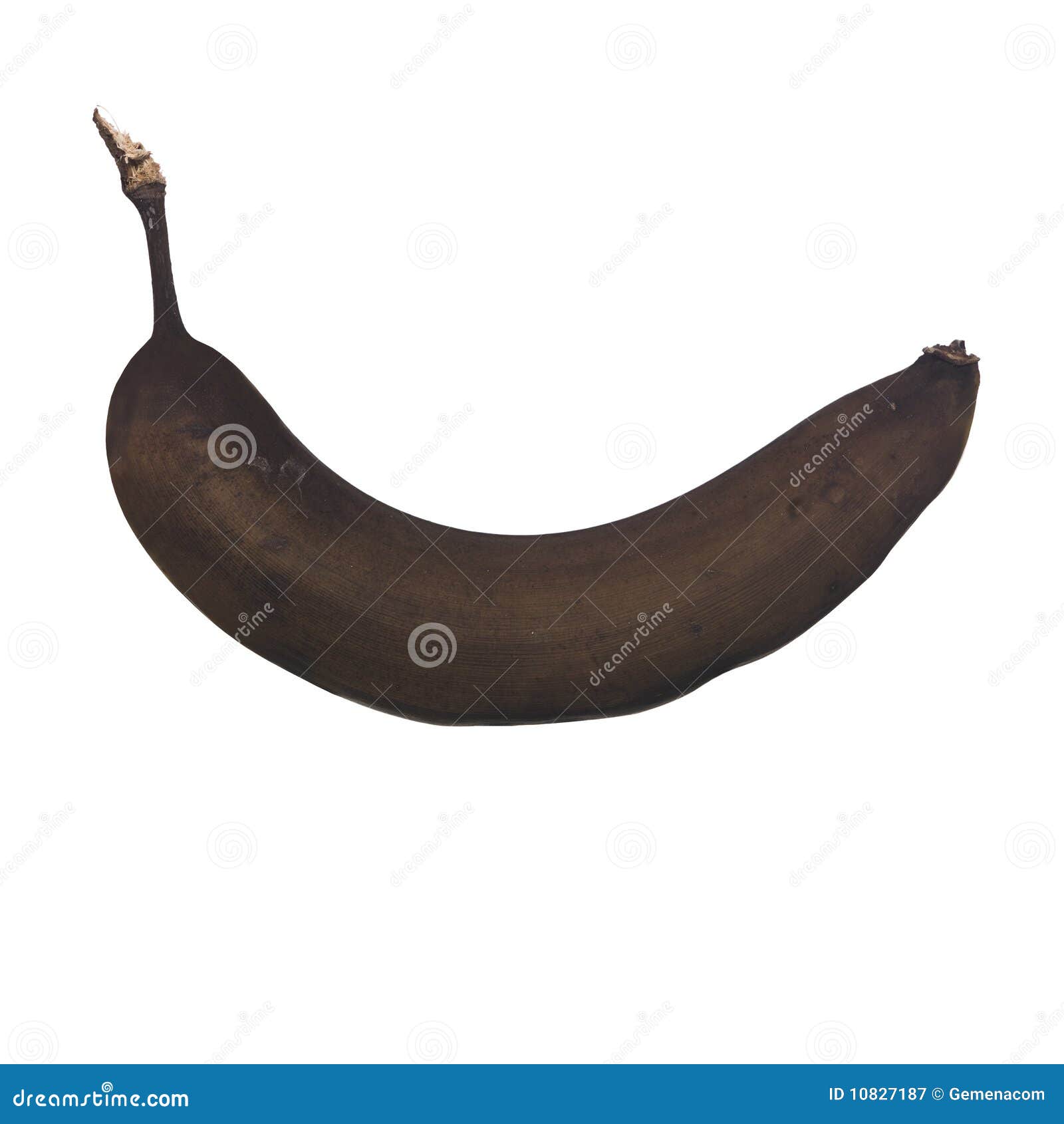 My Image 14