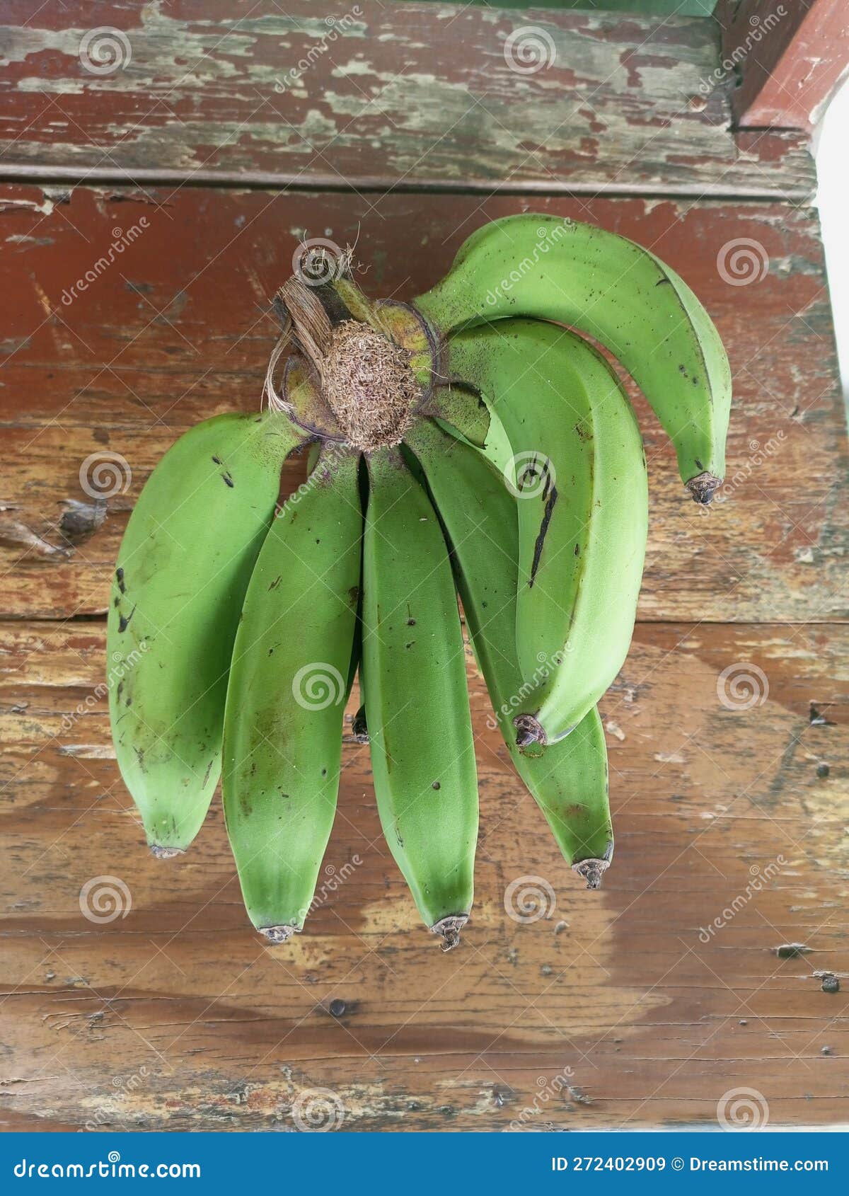 Banana jackfruit stock image. Image of banana, herb 272402909