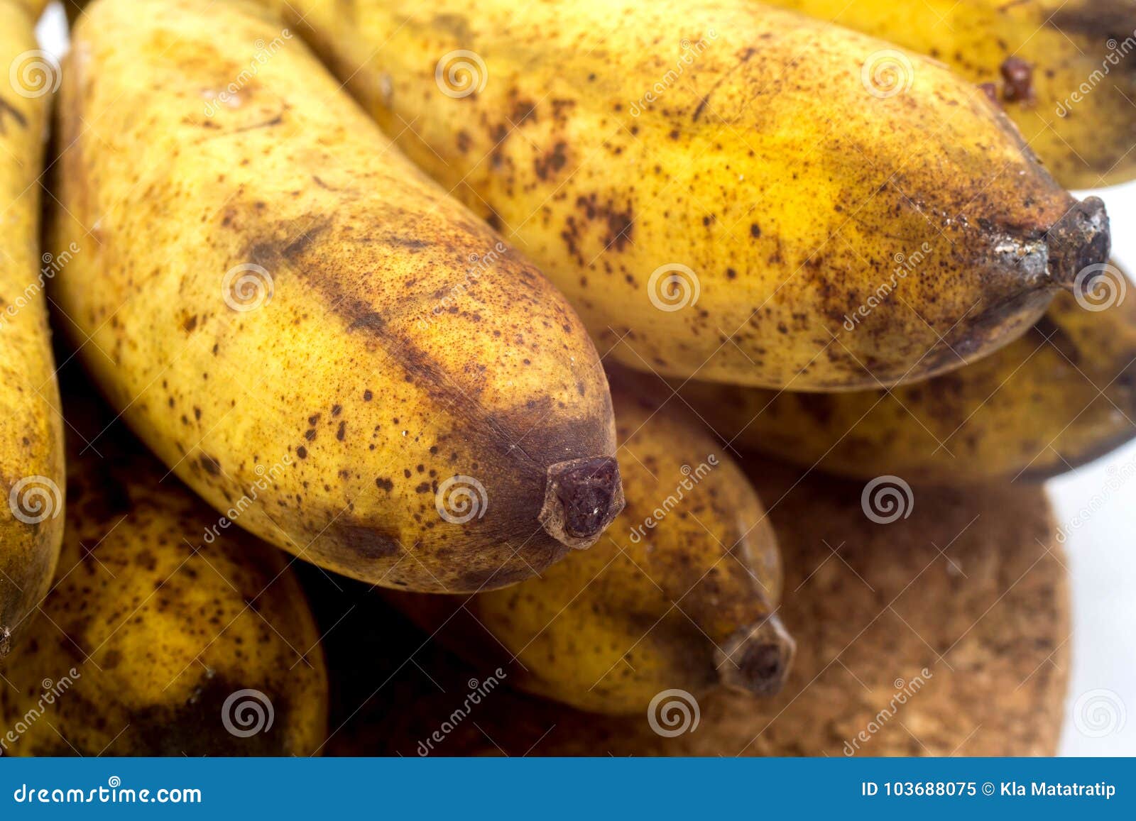Banana with Mold or Fungi on the White Background Stock Image Image