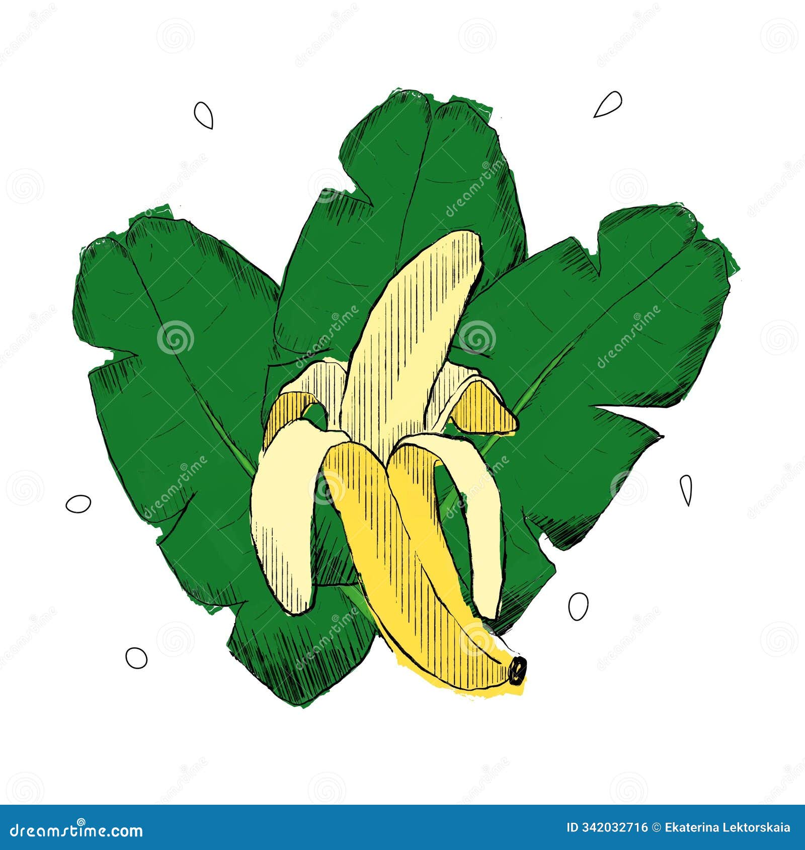 banana and palm leaves composition on  white background, graphic .  jungle  s
