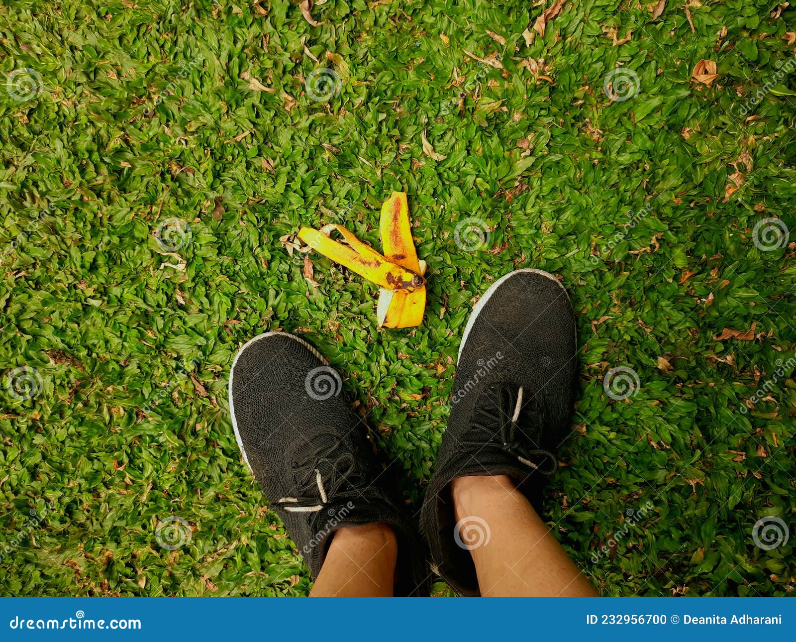 Banana Peel on the Ground, Littering. Stock Photo Image of junk