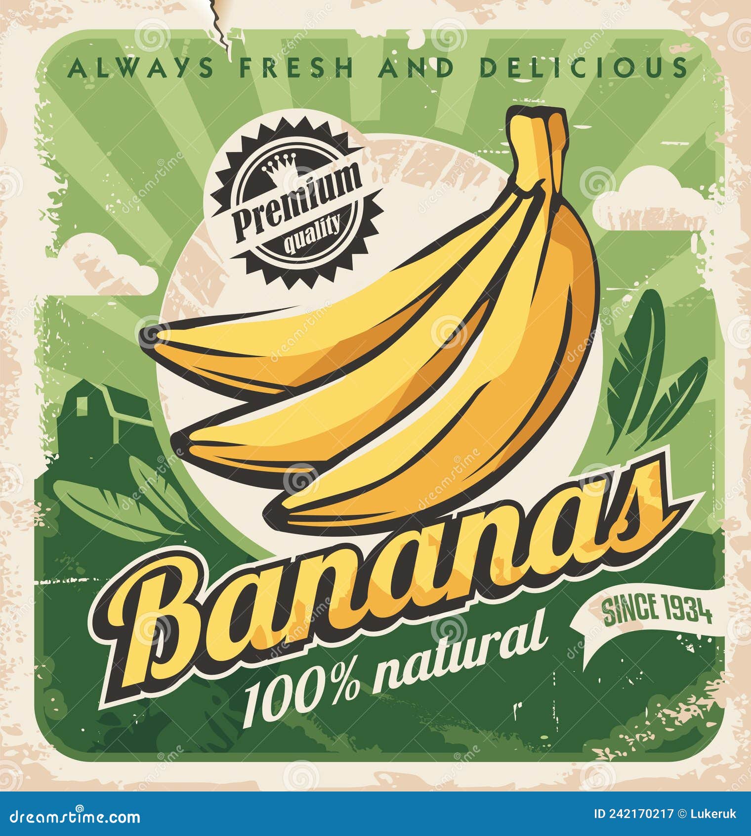 https://thumbs.dreamstime.com/z/banana-plantation-retro-poster-design-old-paper-texture-vintage-advertisement-organic-farm-vector-fruits-illustration-242170217.jpg