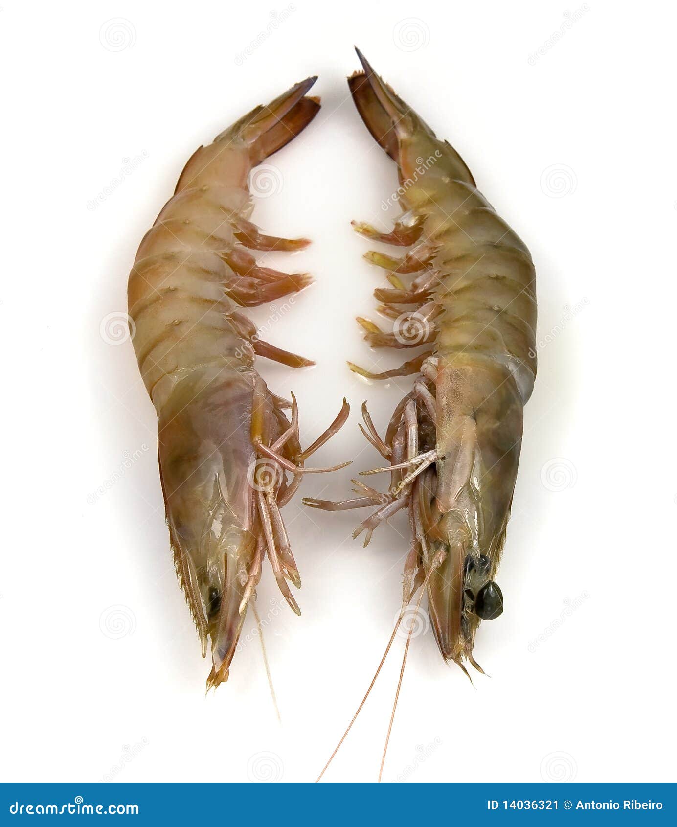 Banana Prawns stock image. Image of tiger, freshness 14036321