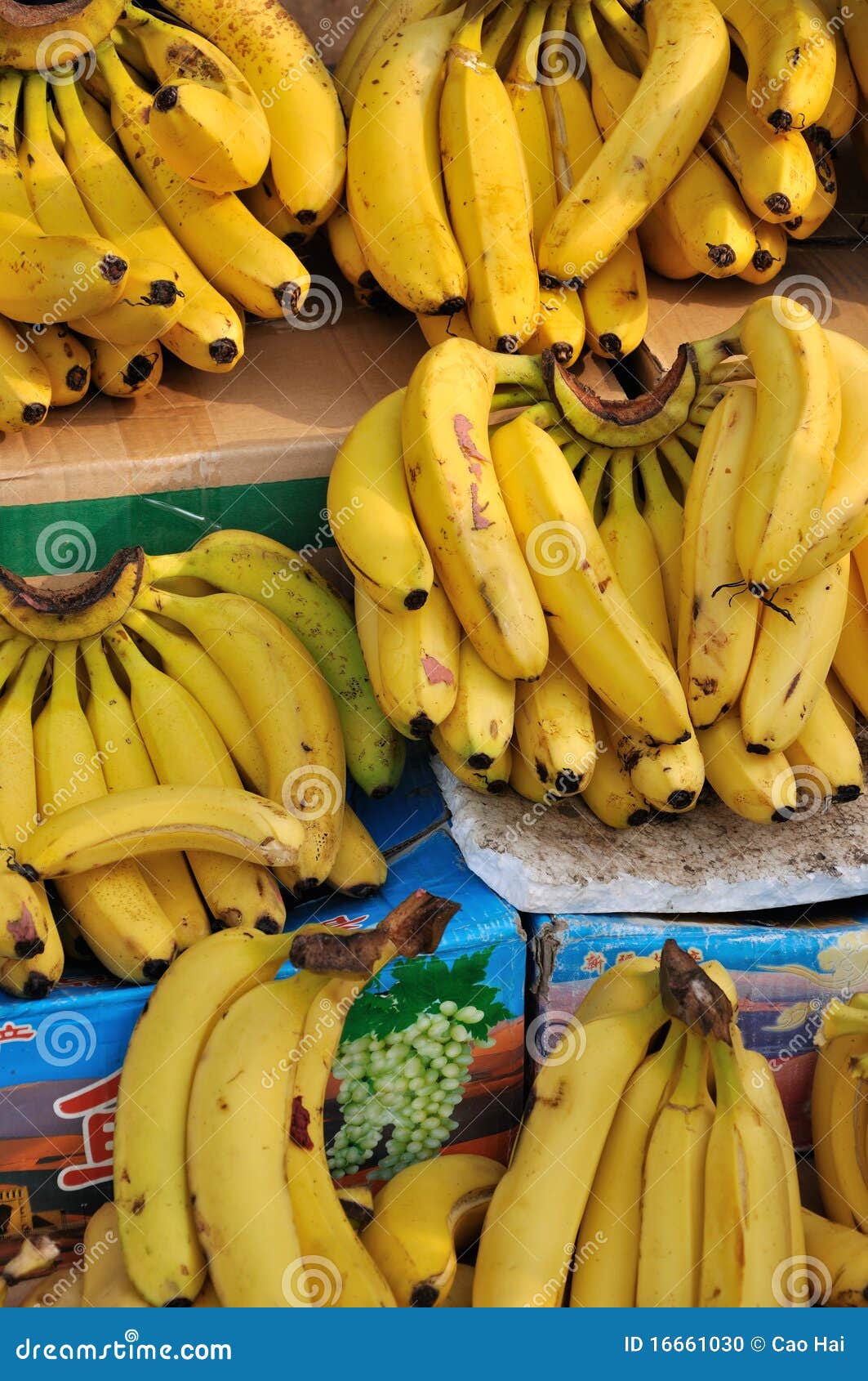 Banana selling in market stock photo. Image of selling 16661030