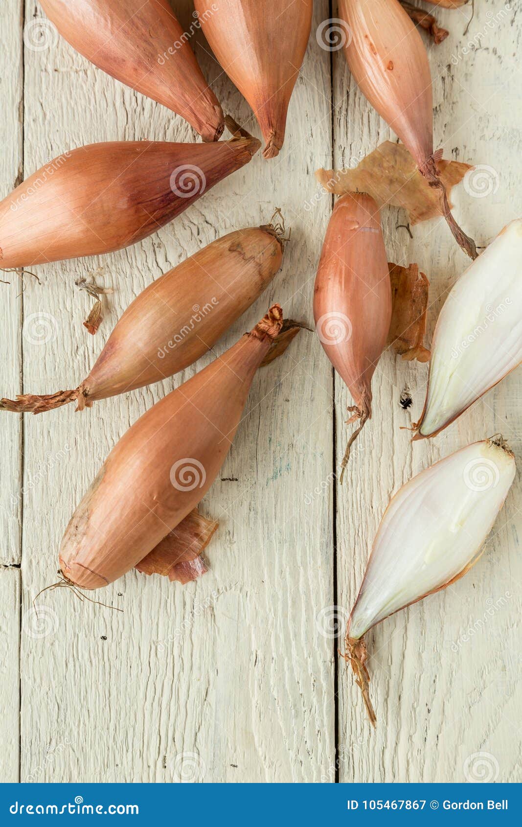 Echalion Shallots Stock Photos - Free & Royalty-Free Stock Photos from  Dreamstime