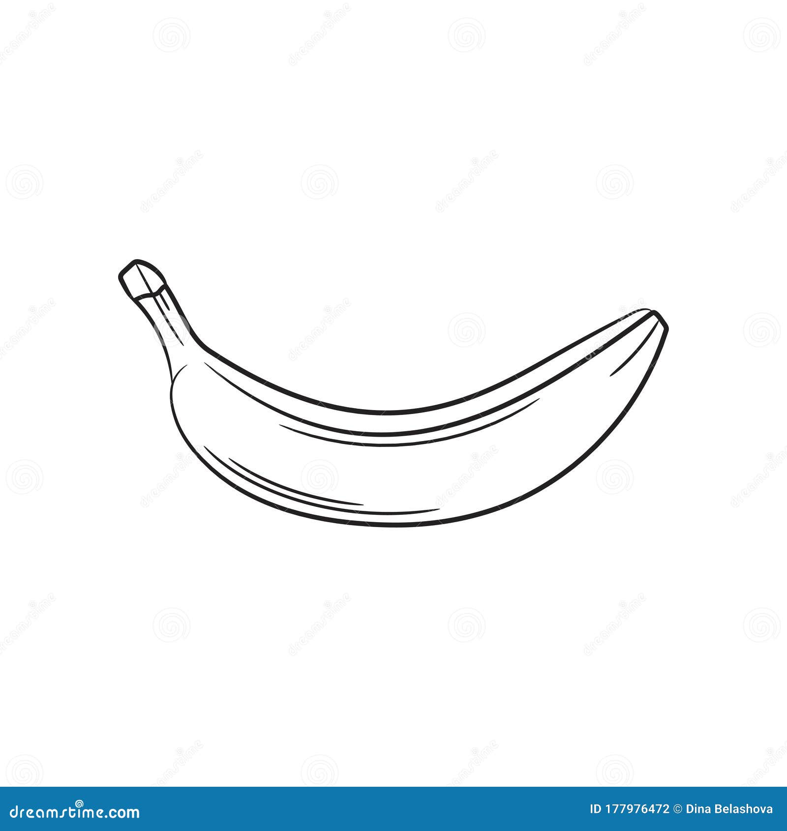 Banana fruit drawing. Clip art. Vector illustration Stock Vector Image &  Art - Alamy