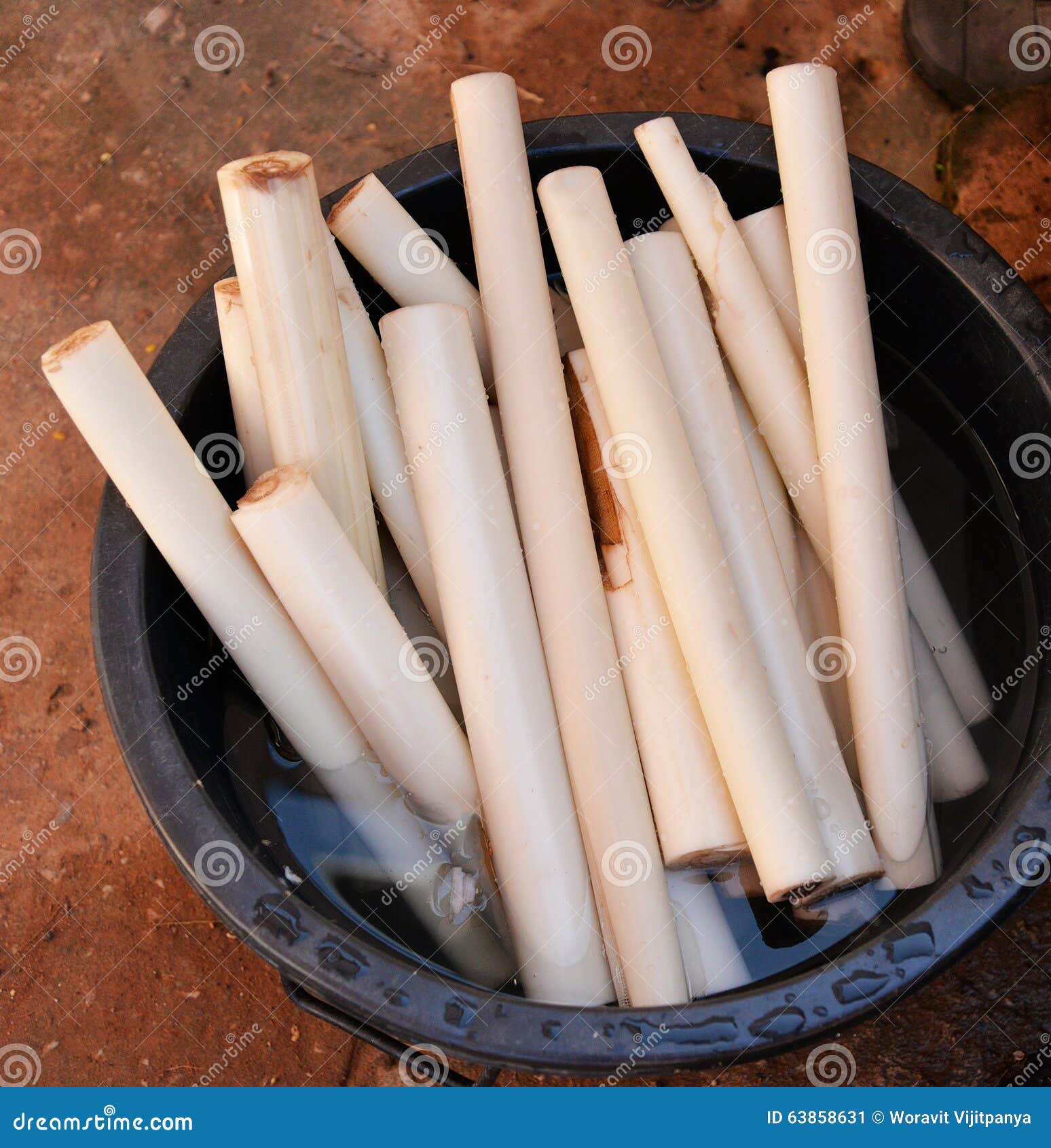 Banana stalk stock image. Image of texture, plant, leaf 63858631
