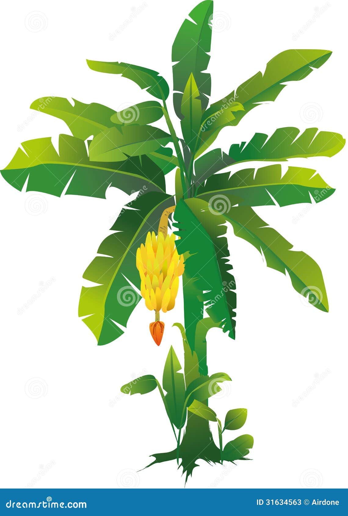 banana tree clip art - photo #33