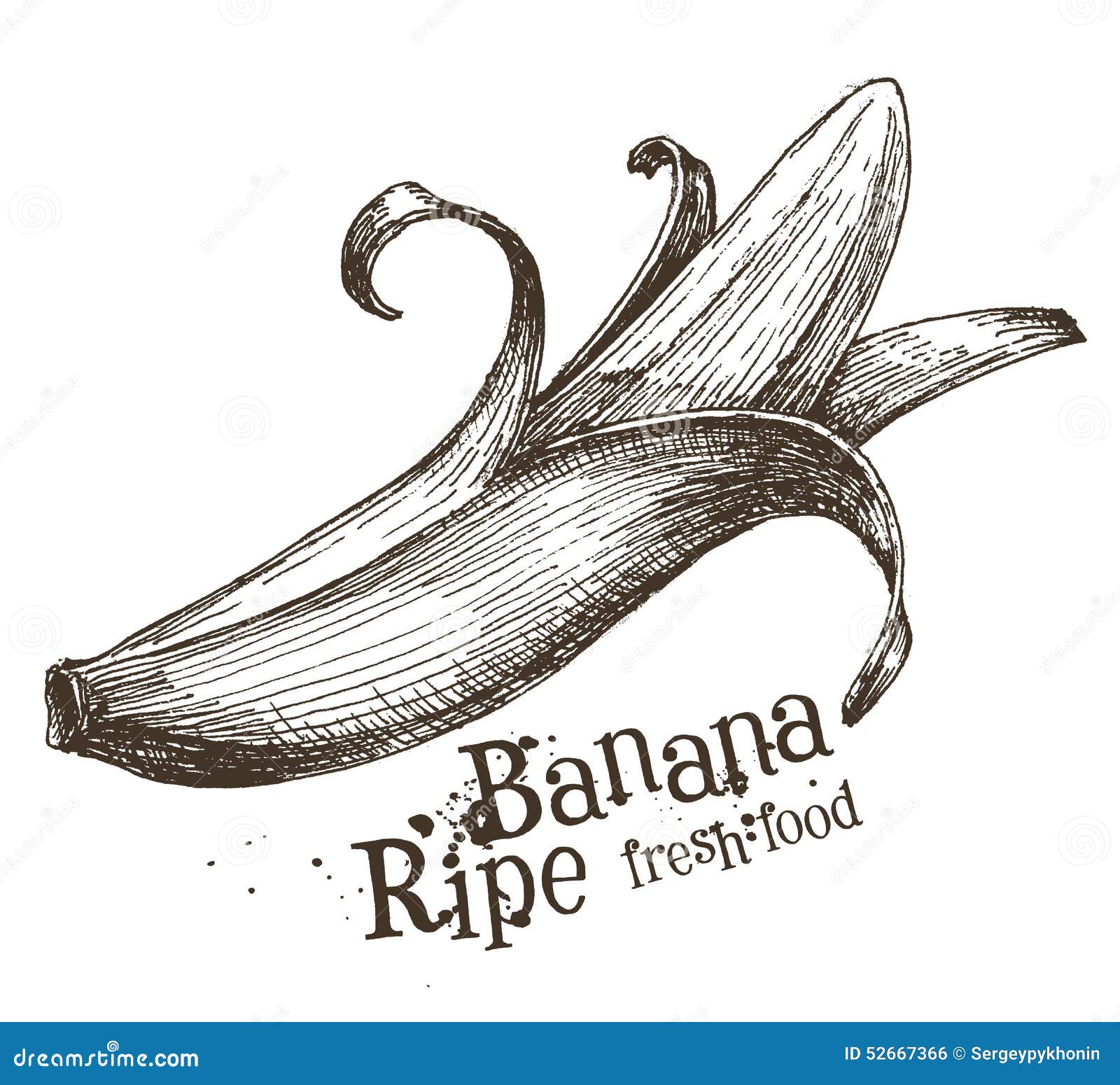 Line Drawing Banana : Banana vector logo design template fruit or food stock