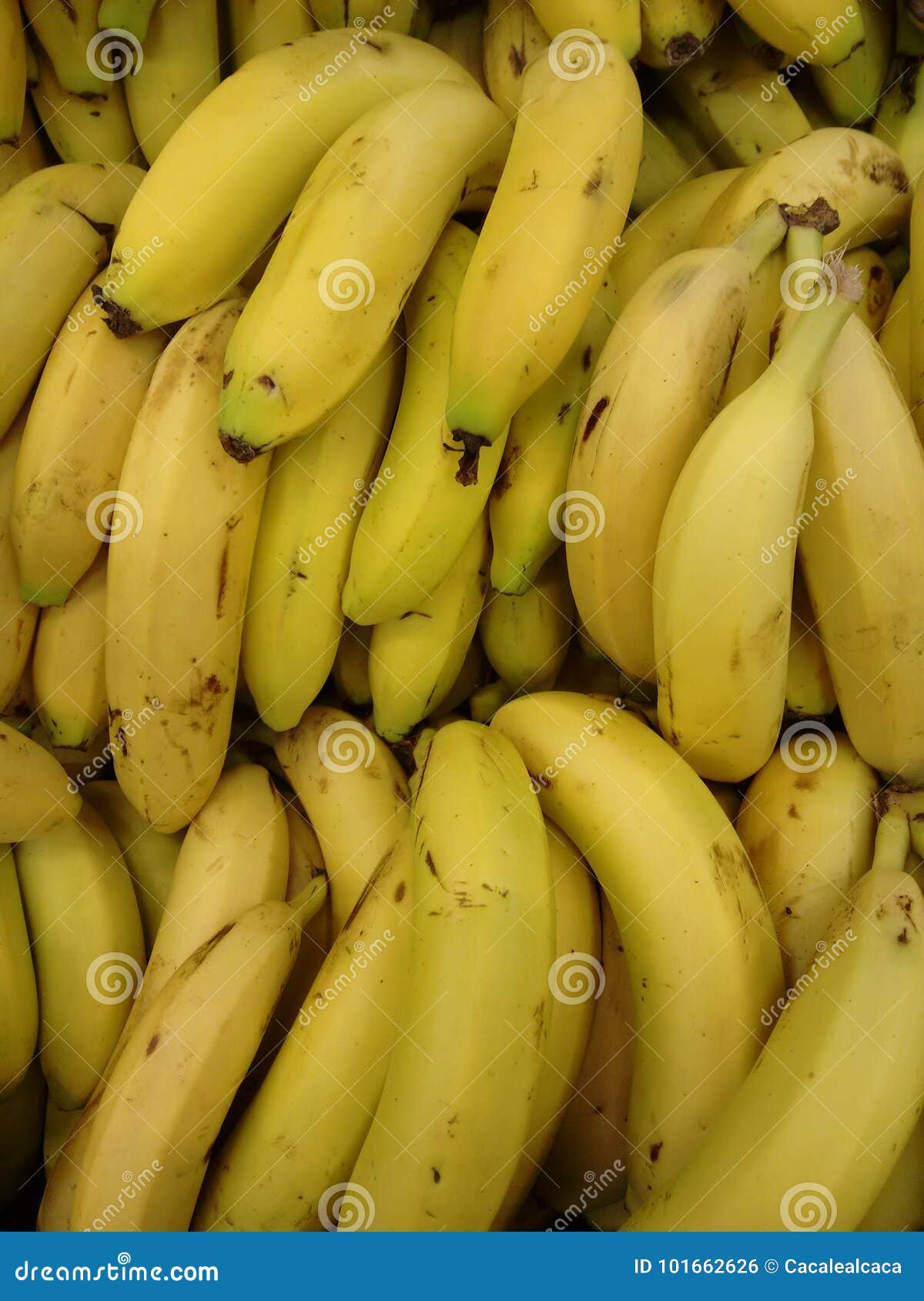 banana or yellow plantain